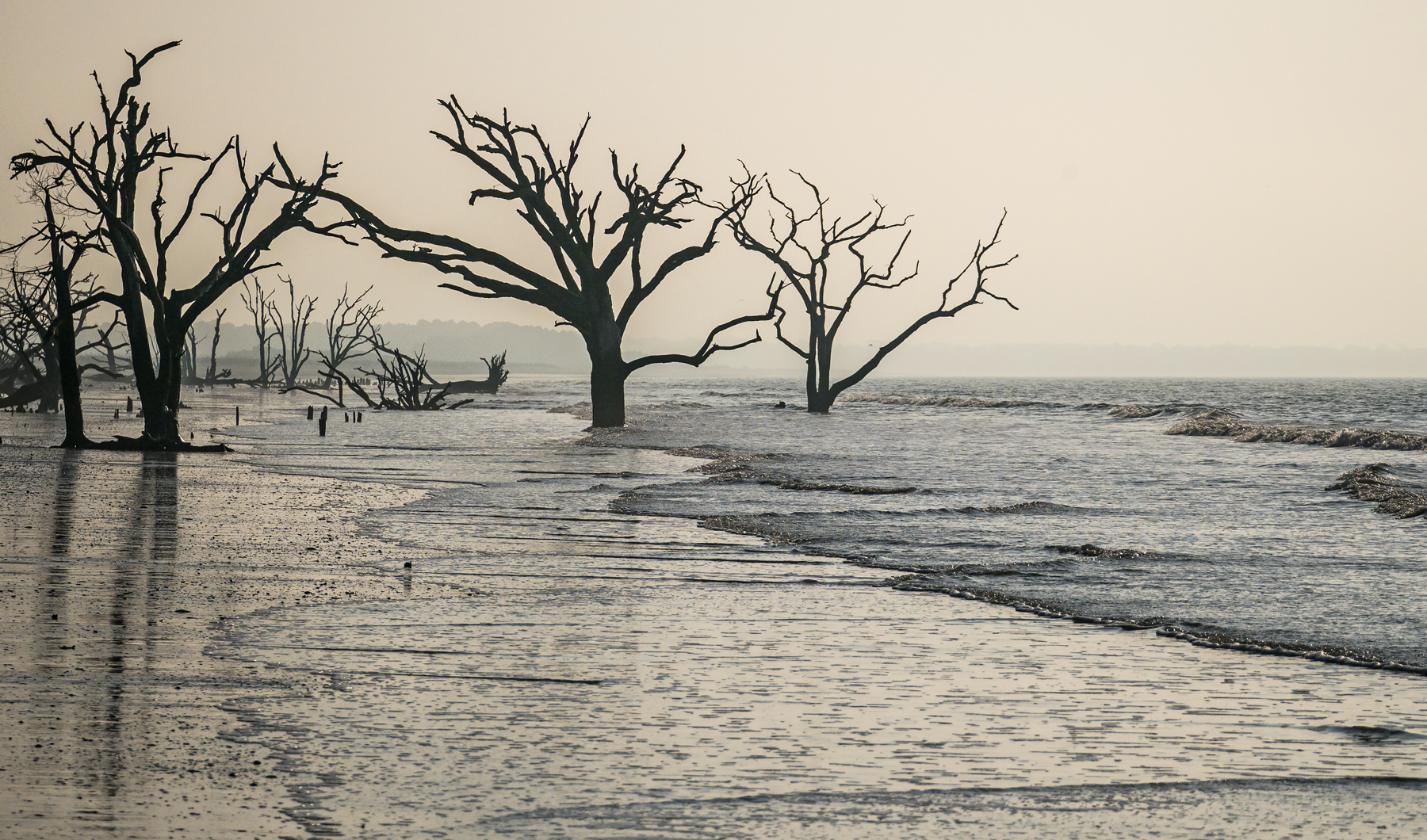 Carol-Lawrence-Botany-Bay-Beach-4.jpg