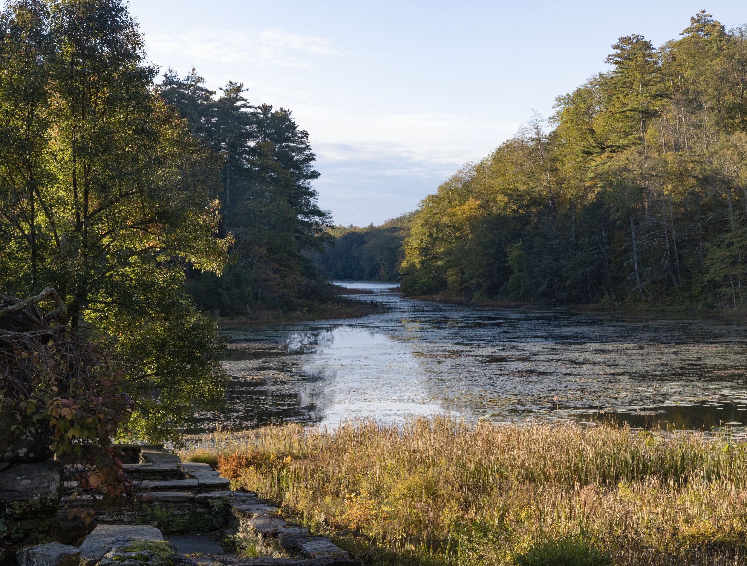 The Lake in the Distance copy.jpg
