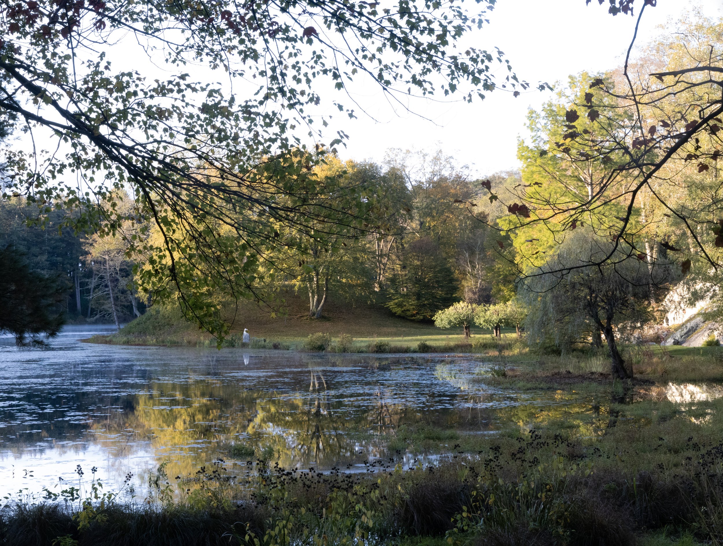 First look at the lake copy 3.jpg