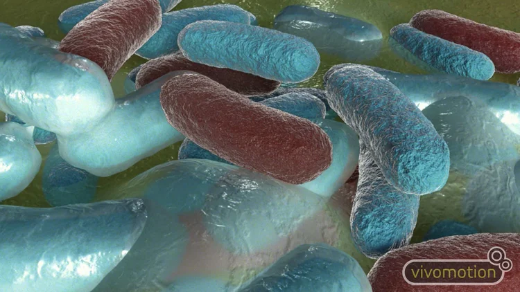 Bacterial raincoat - produced with Prof. Nicola Stanley-Wall and Prof. Cait Macphee.