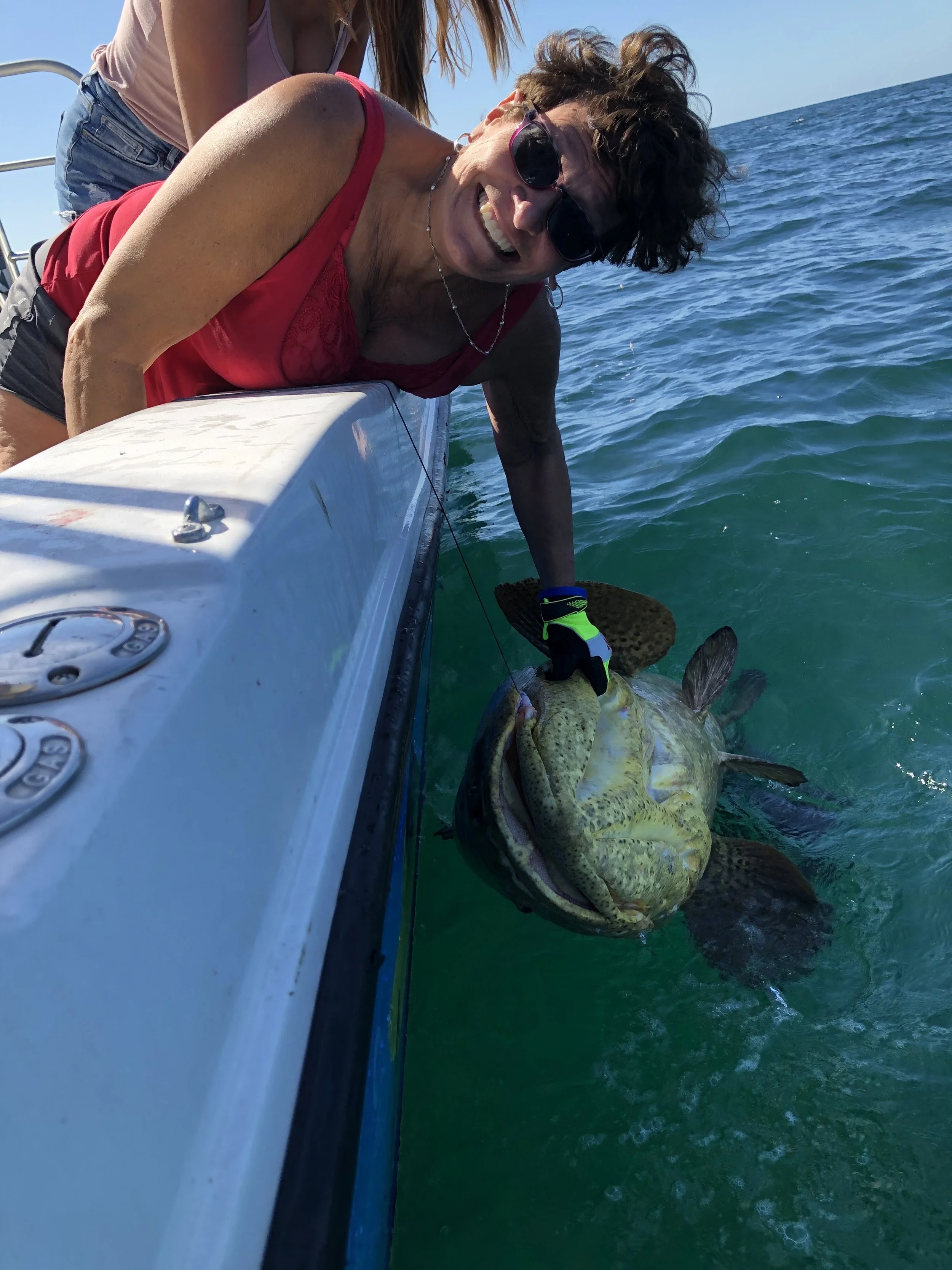 Goliath Grouper, AmberJack, Cobia, and Kingfish!