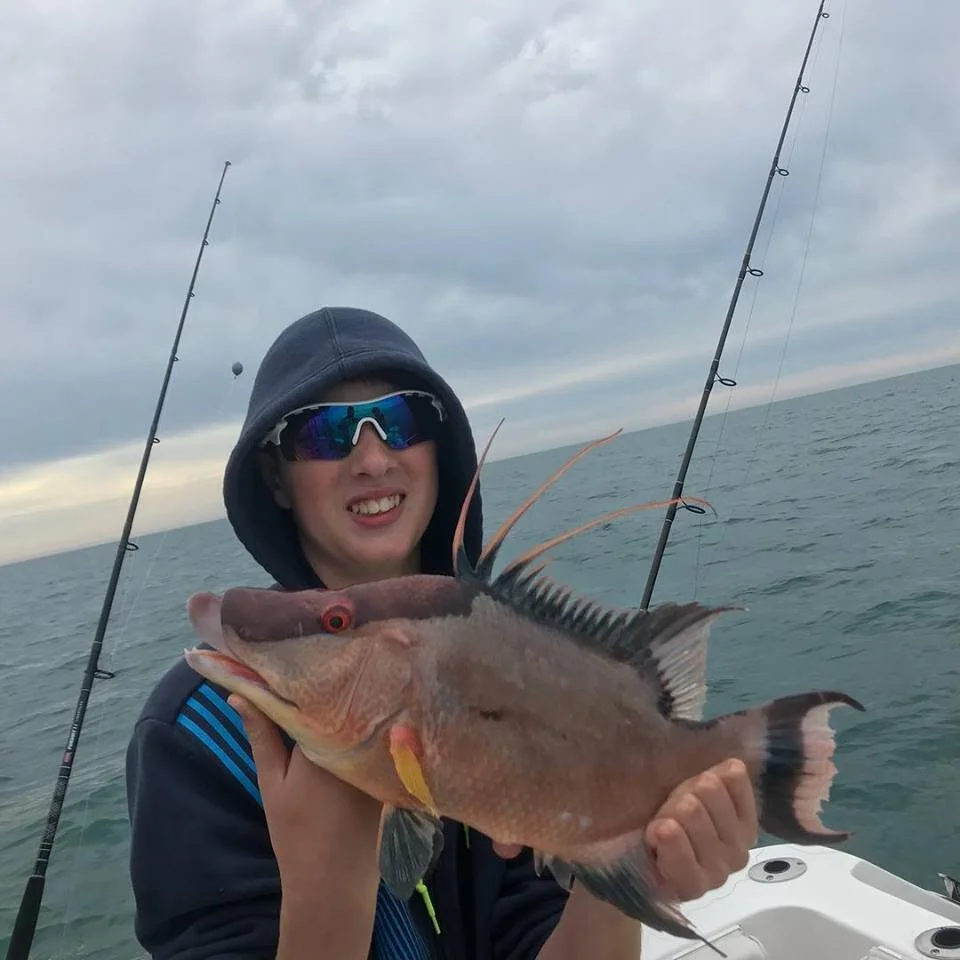 December Coastal Angler Report. Anna Maria Island Offshore Fishing 