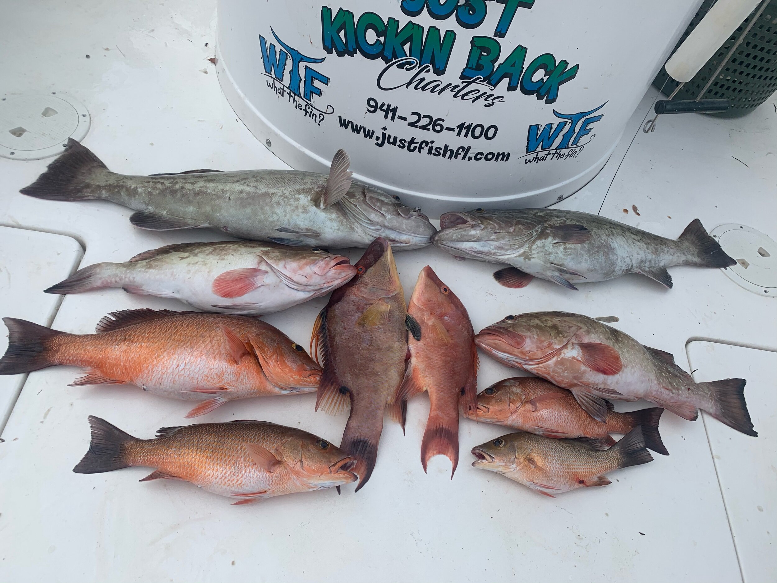 Anna Maria Fishing Charters