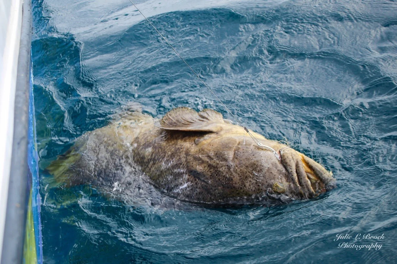 Anna Maria Fishing Charters