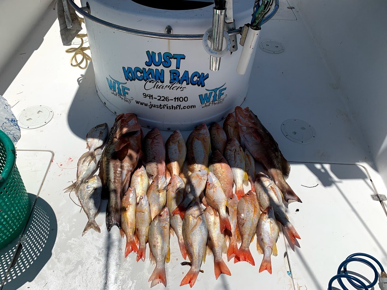 Anna Maria Fishing Charters