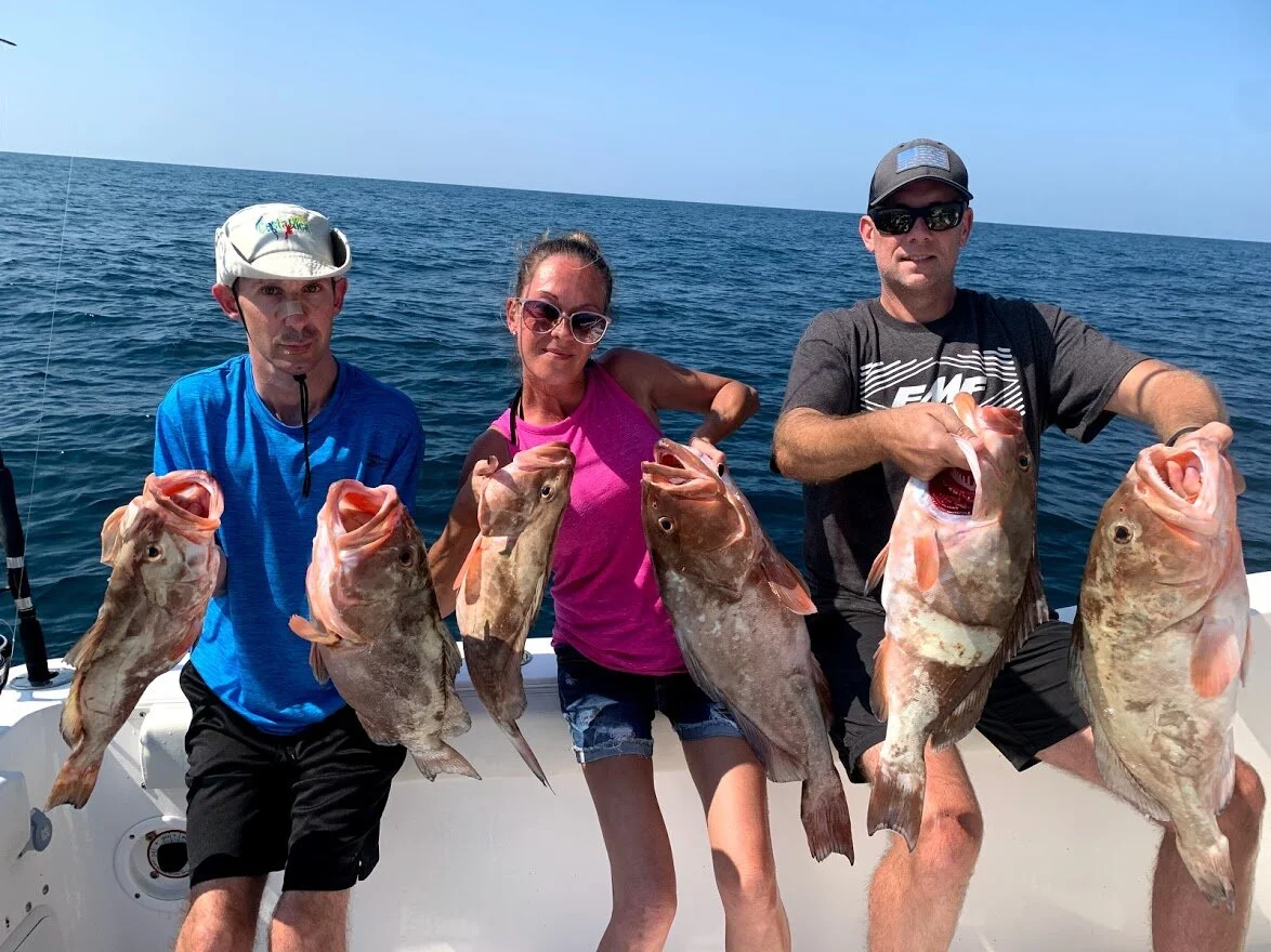 Anna Maria Island Grouper