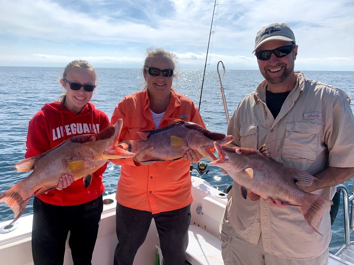 Winter time Report (Sheepshead and Hogfish!)