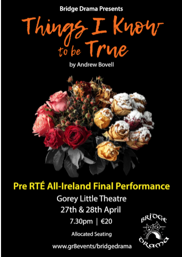 Things I Know To Be True - Bridge Drama