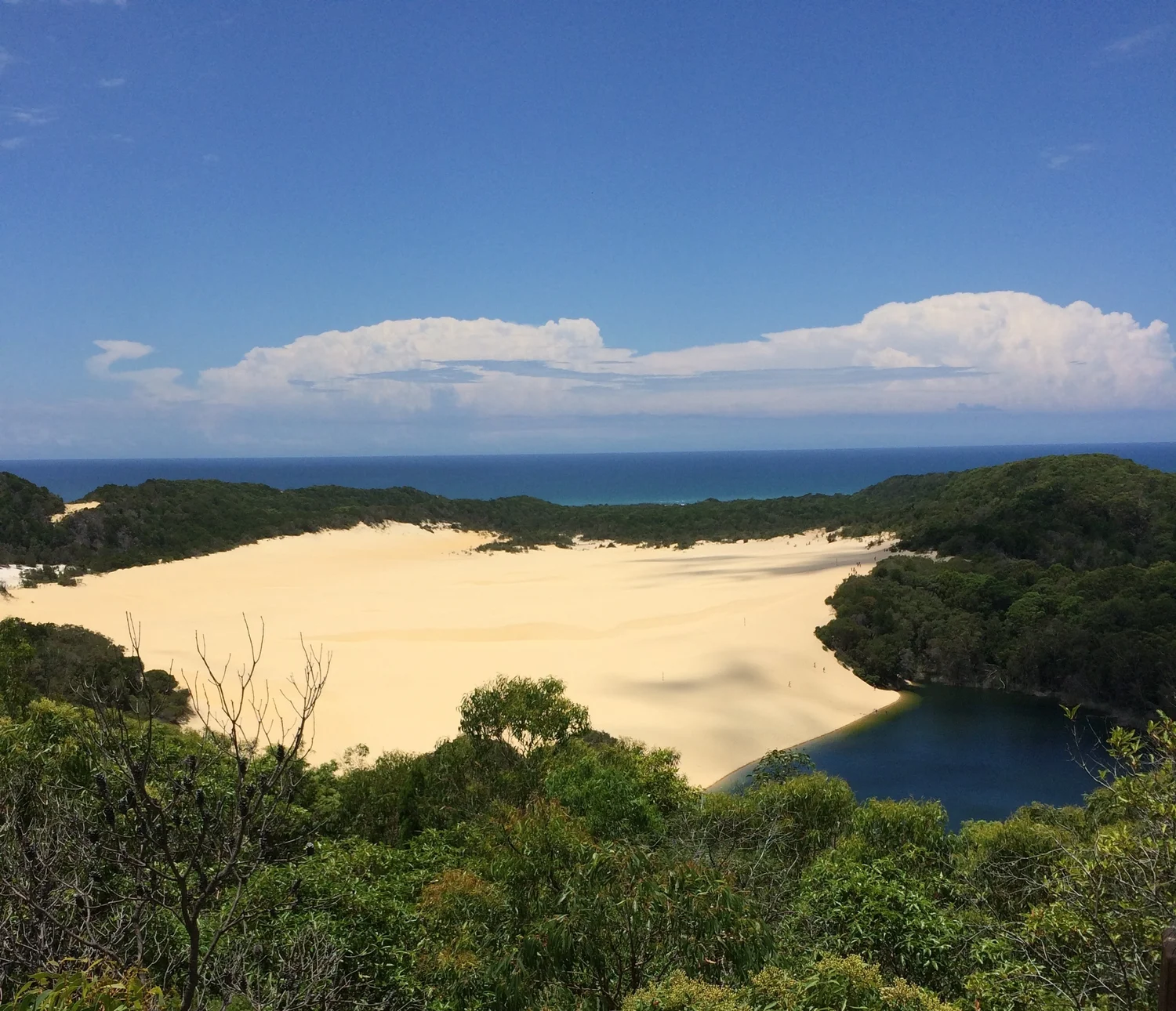 View from Lake Wabby lookout.