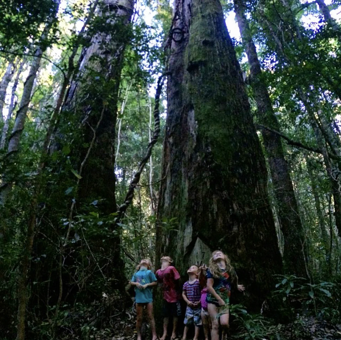 The ‘Valley of the Giants’.