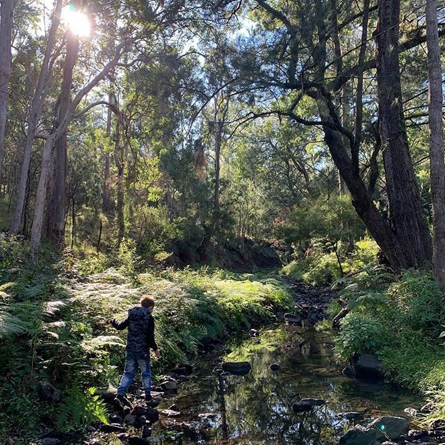 Our first weekend returning to camping took us back to this beautiful spot @gordon_country 
We just love it here &amp; fall in love with it more &amp; more each time we visit. Have you ever been?
.
.
.
#goomburra #gordoncountry #brisbanefamilies #bus