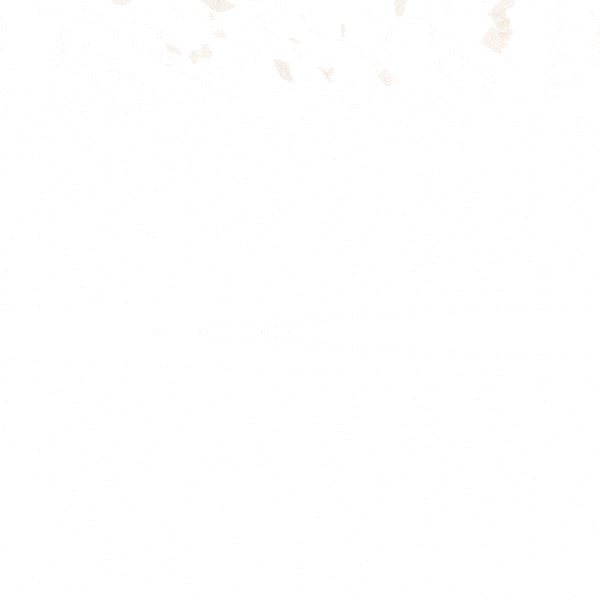 ezgif-2-26862ffbb25a.gif