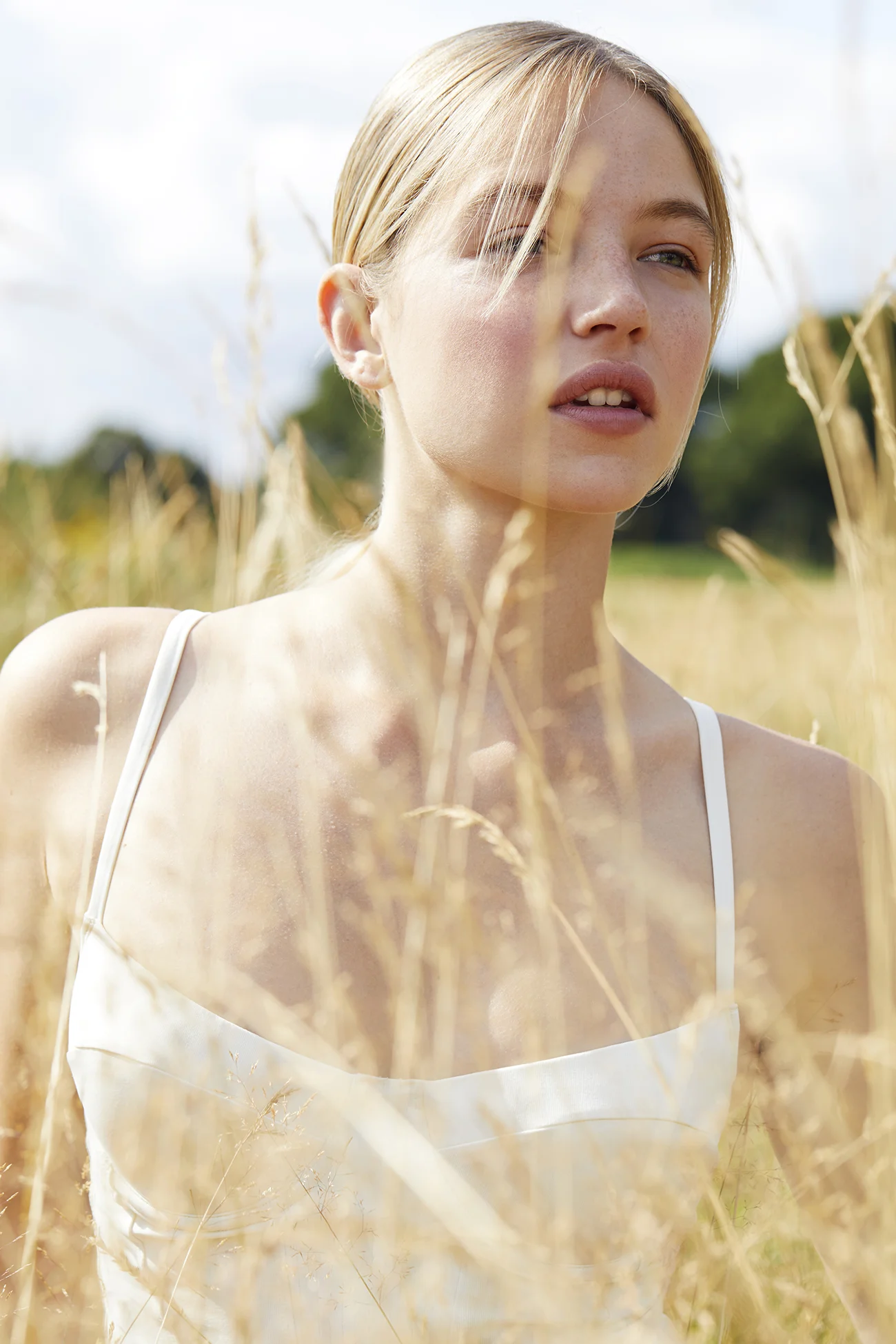 rs-Grasses_Greener_1807182574.jpg