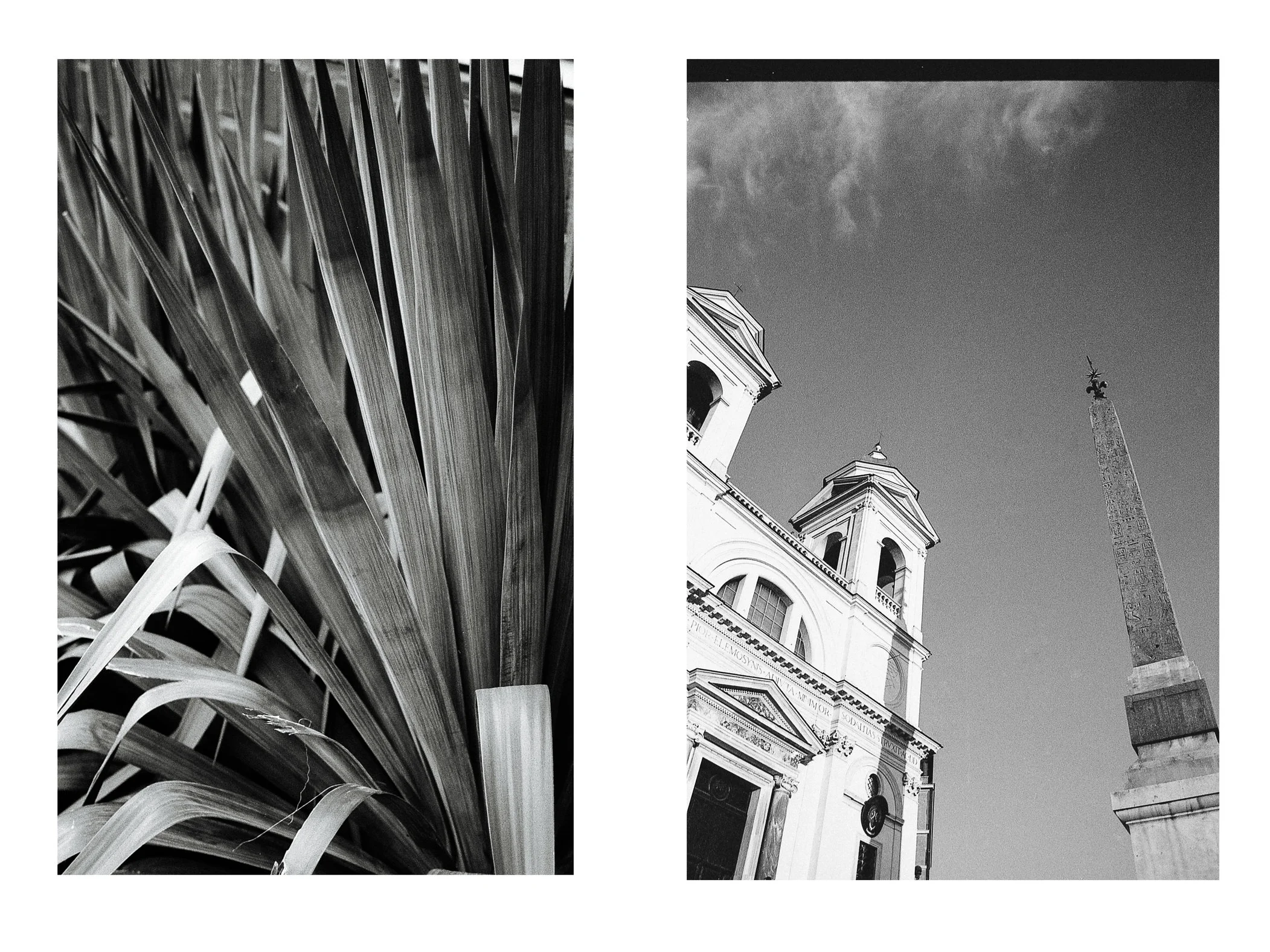 Collage_1.jpg