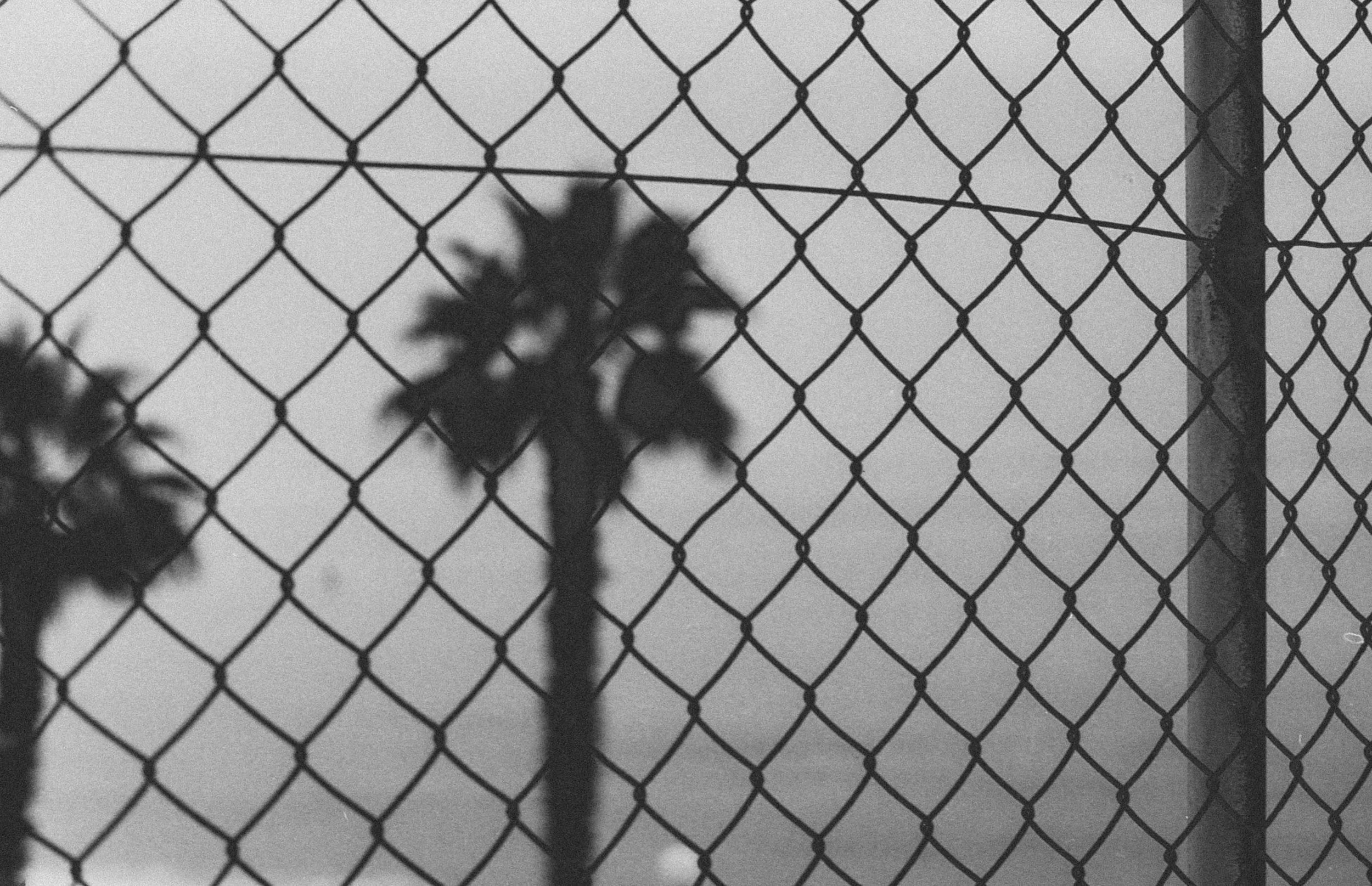 20180731-Roadtrip041.jpg