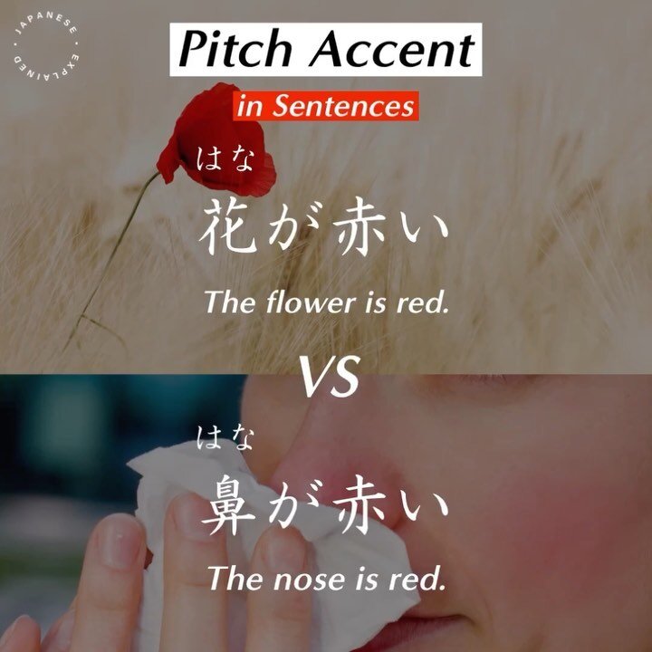 The pitch accent of 赤い(あかい) starts low at the word level.
However, when it&rsquo;s in mid sentence, the accent is often reduced and flattened to avoid sudden fluctuations. This sounds more natural in real life conversations. 

#japanese 
#pitchaccent