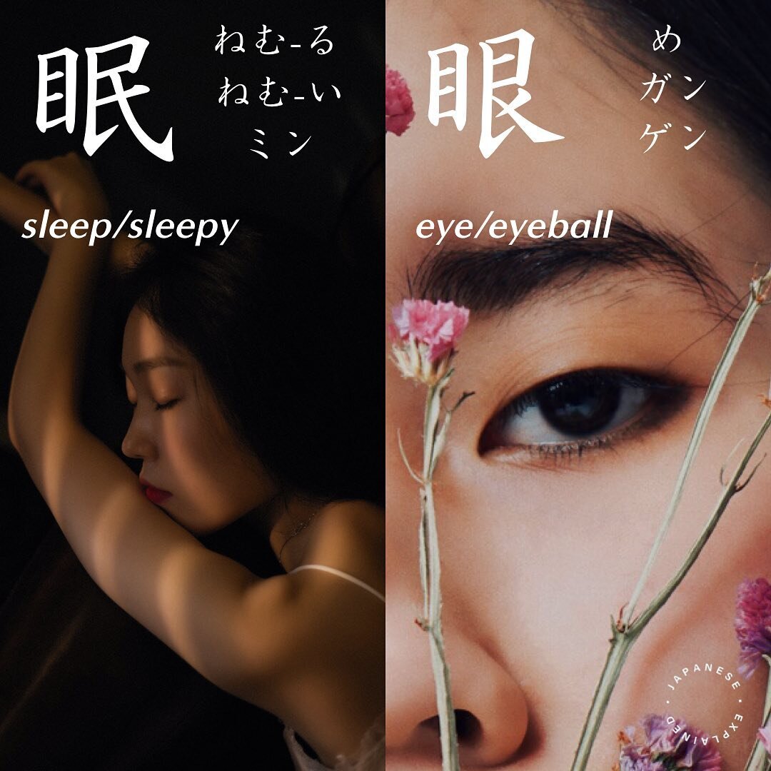 眠る [ねむ-る] to sleep
眠い [ねむ-い] sleepy 
睡眠 [すいみん] sleep (noun)

眼 [め] eye, eyeball
眼科 [がんか] ophthalmology
眼鏡 [めがね] glasses 
*
*
*
*
*
#japanese #kanji
#jlpt #jlptn3 #jlptn2 #jlptn4
#n4 #n3 #n2
#japanesevocabulary 
#japaneselanguage 
#nihongo