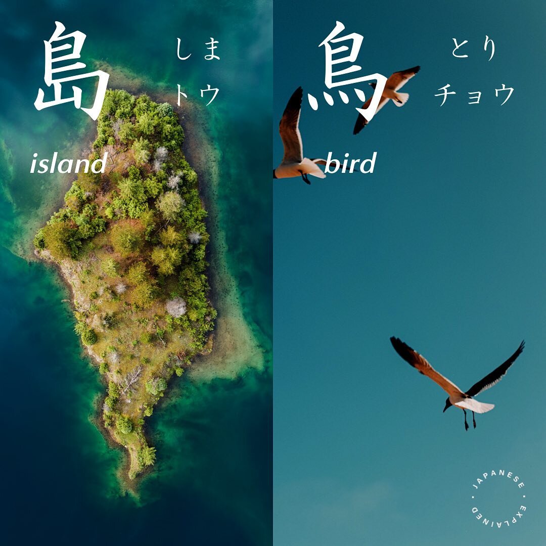 島 🏝 vs 鳥 🦢 
島 [しま] island 
島国 [しまぐに] island country 
広島 [ひろしま] Hiroshima
半島 [はんとう] peninsula 

鳥 [とり] bird
小鳥 [ことり] small bird
焼き鳥 [やきとり] yakitori 
白鳥 [はくちょう] swan
*
*
*
*
*
#japanese #kanji
#jlpt #jlptn4  #n4
#japanesevocabulary 
#japaneselanguage