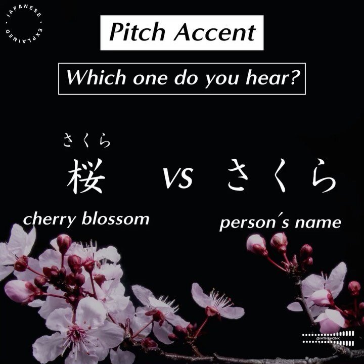 &lt;&lt; Pitch Accent &gt;&gt;
🌸さくら[桜] cherry blossom; cherry tree
👤さくら[咲良、桜、佐久良、佐倉、紗倉 and more] person&rsquo;s name (given name &amp; surname), place name

#japanese 
#japanesepitchaccent 
#pitchaccent 
#japanesepronunciation 
#japanesegrammar 
#j