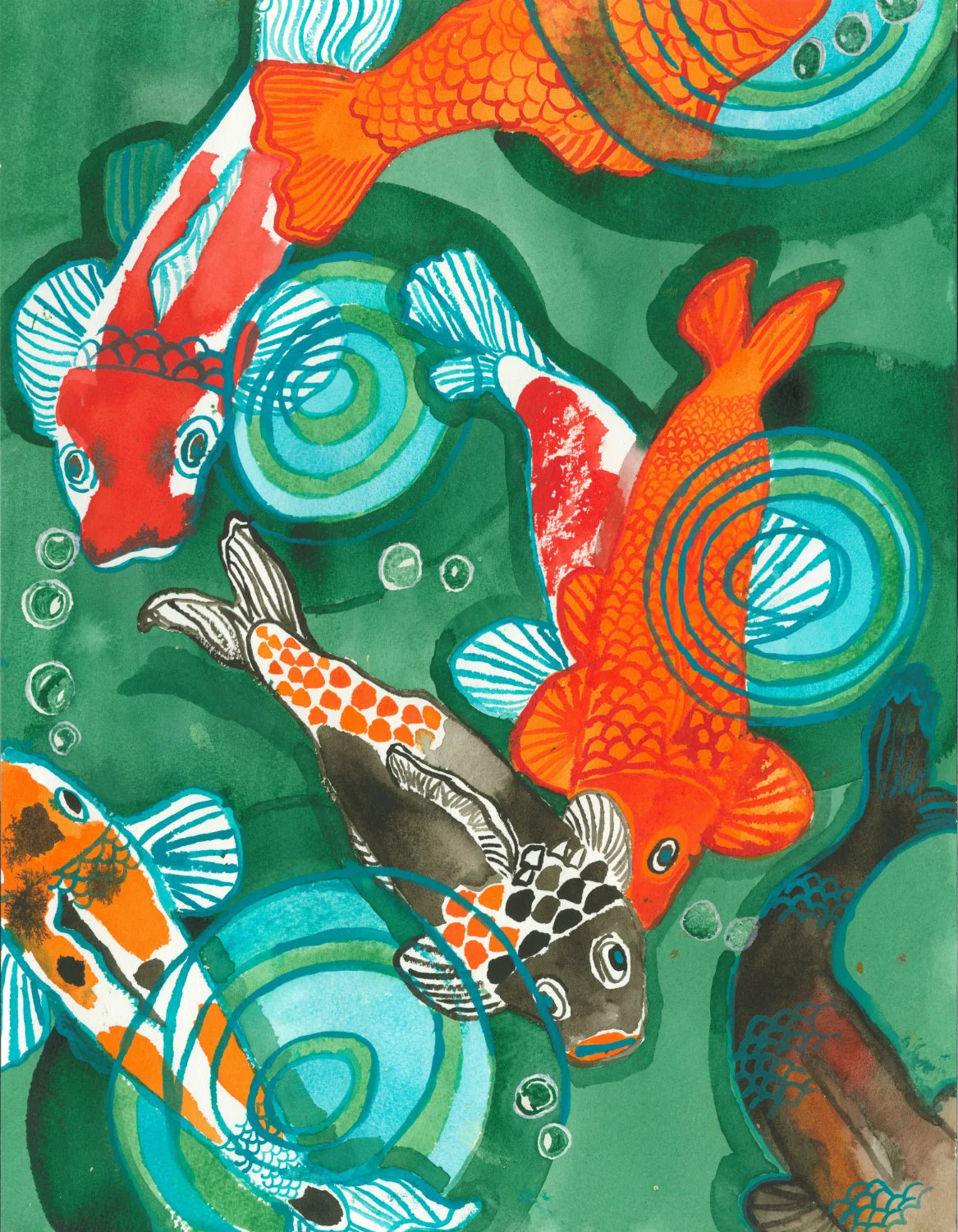 Koi