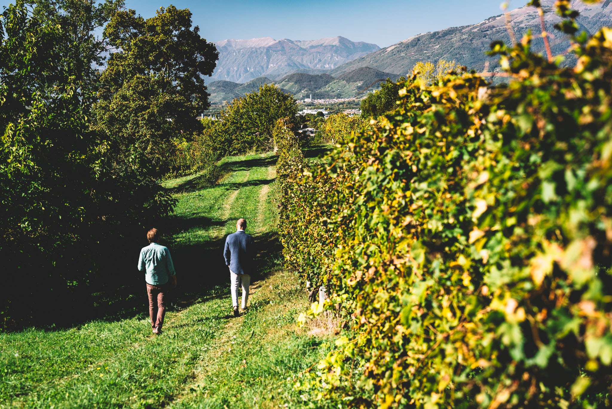 Tenuta Degli Ultimi-274.jpg