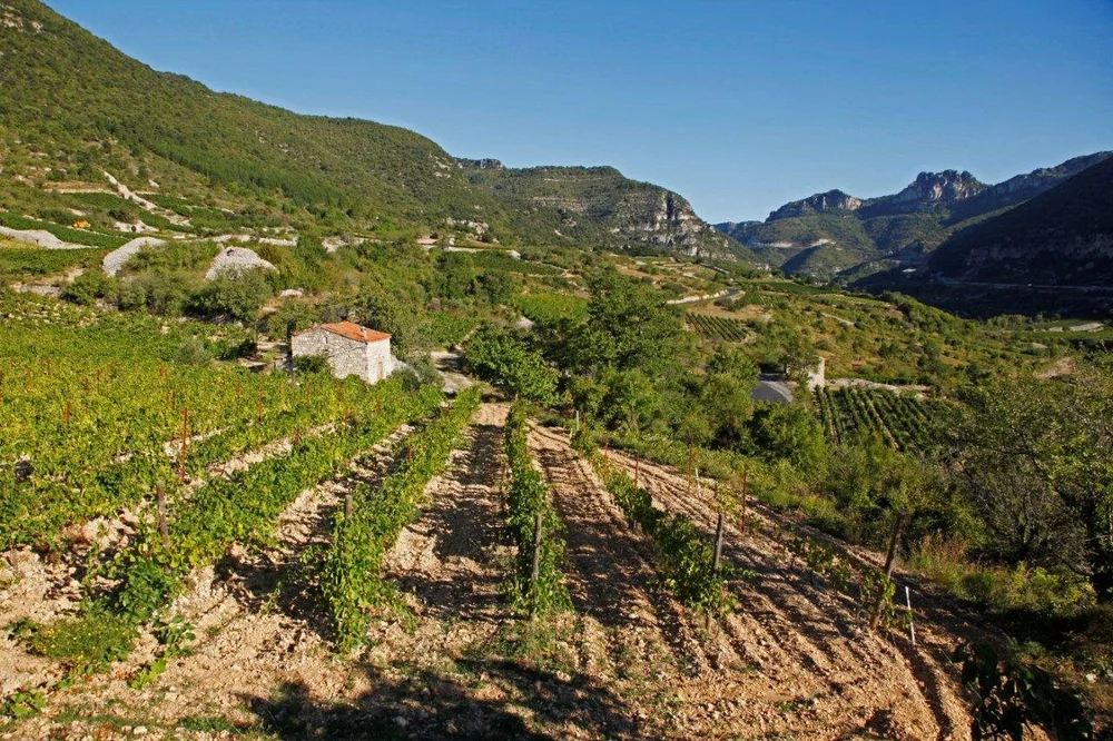 Pas De L Escalette Piedmont Wine Imports pas-de-l-escalette-piedmont-wine-imports