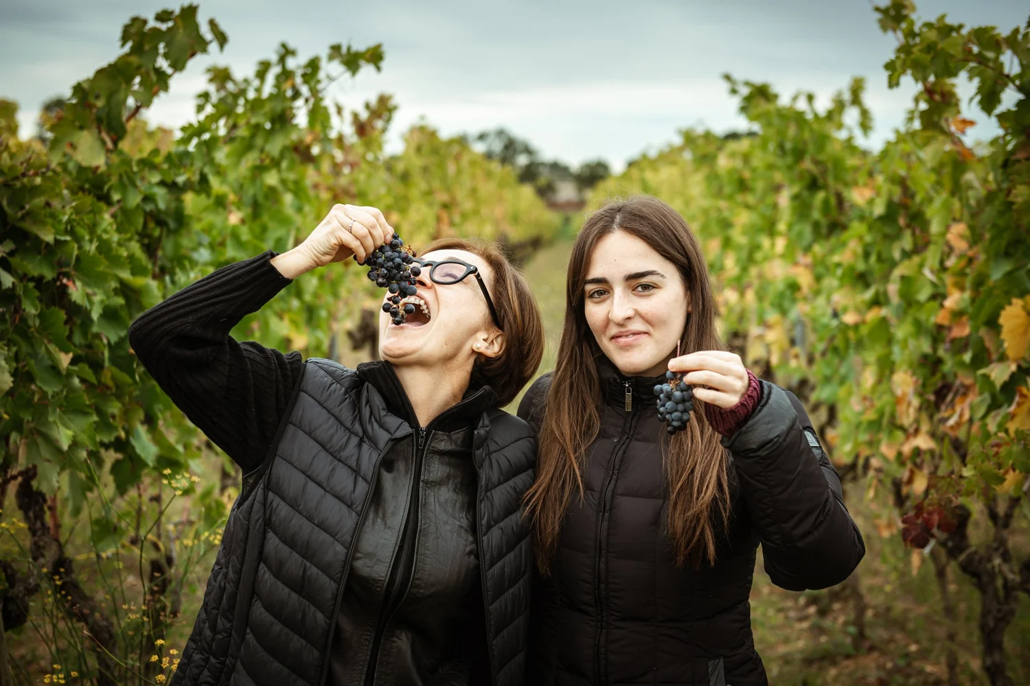 Plantamura — Piedmont Wine Imports