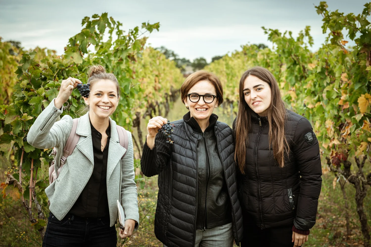 Plantamura — Piedmont Wine Imports