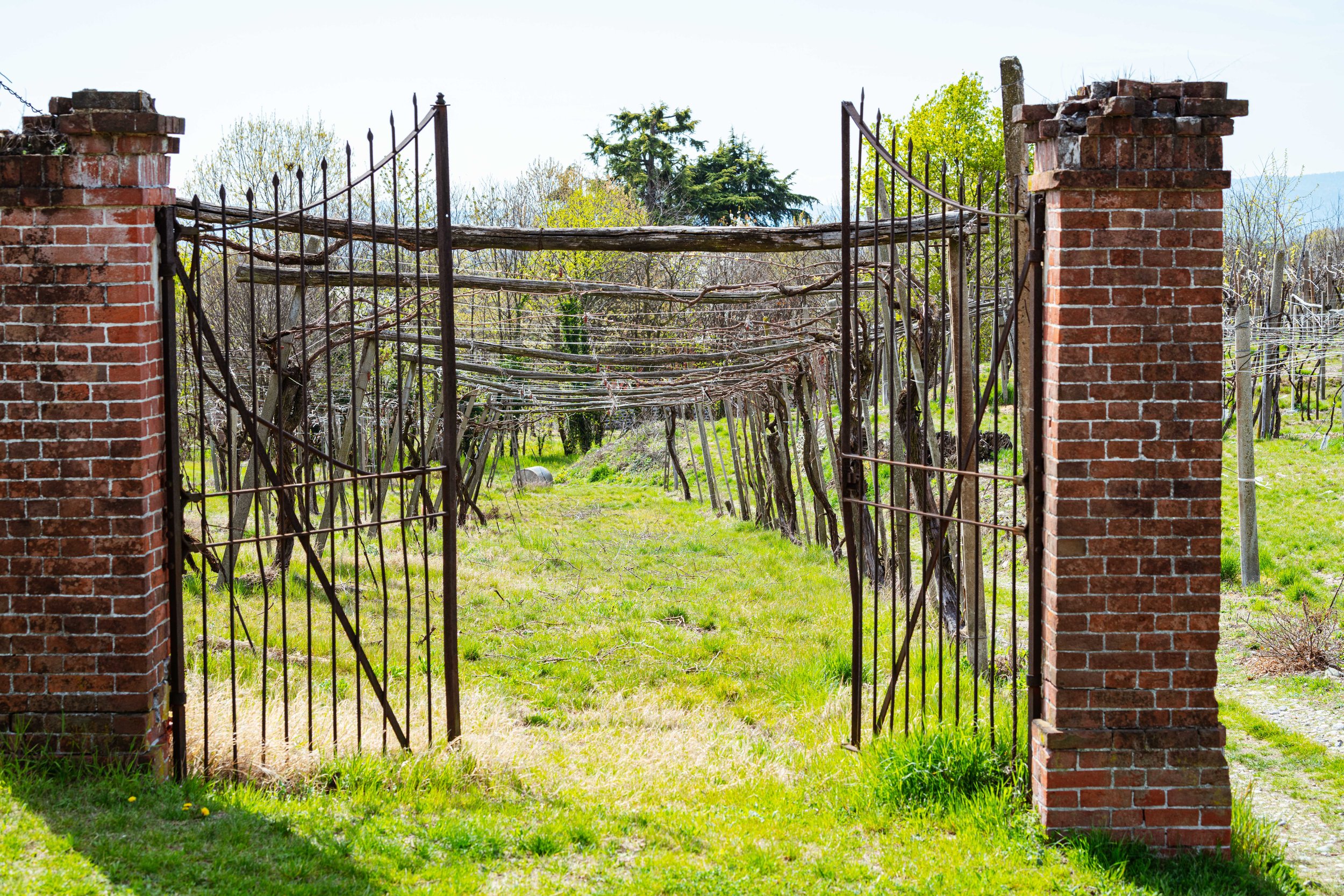 Cantine Crosio and Caluso-43.jpg