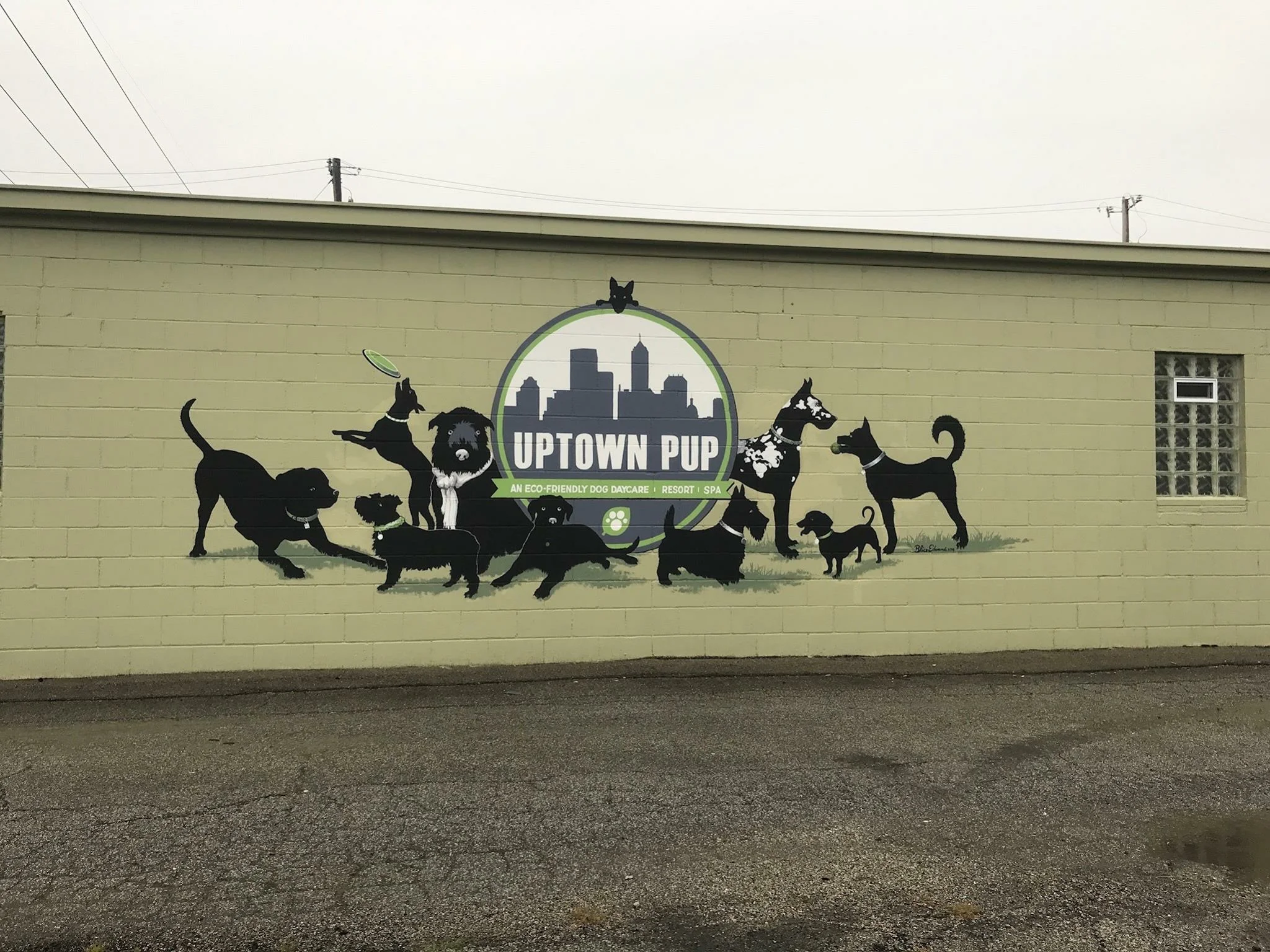 Uptown Pup