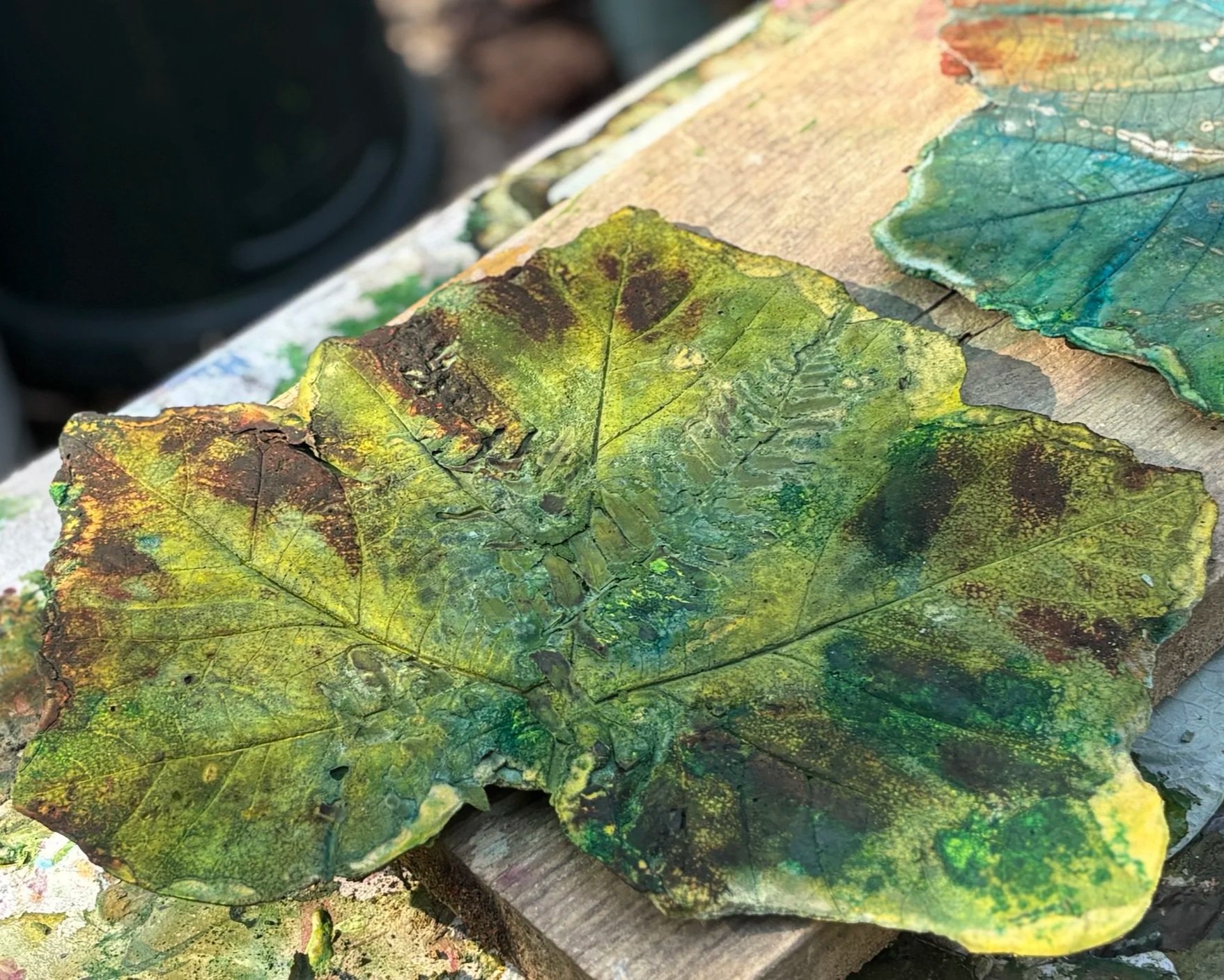 Sycamore Fossil, Green stain finish
