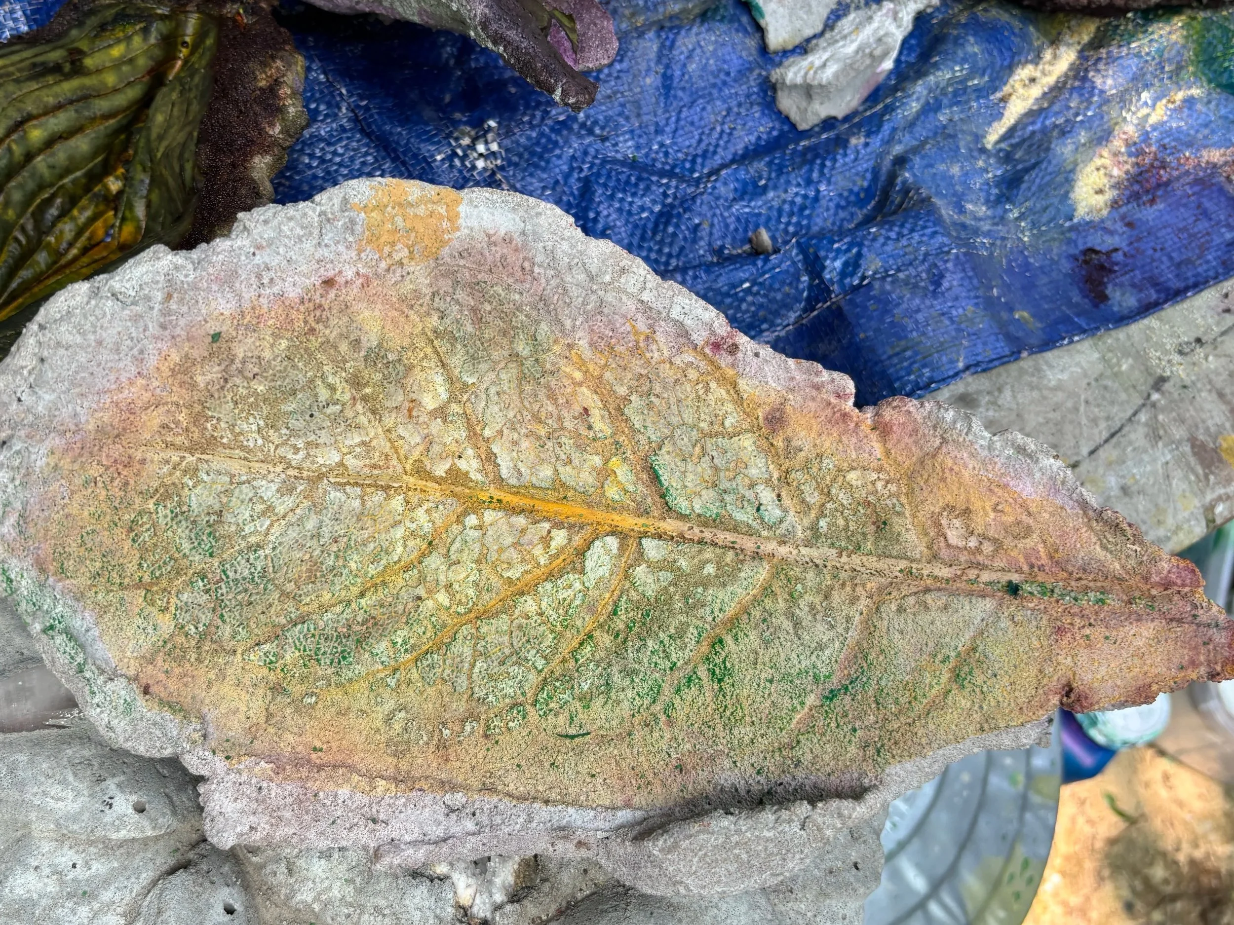 hickory fossil stone