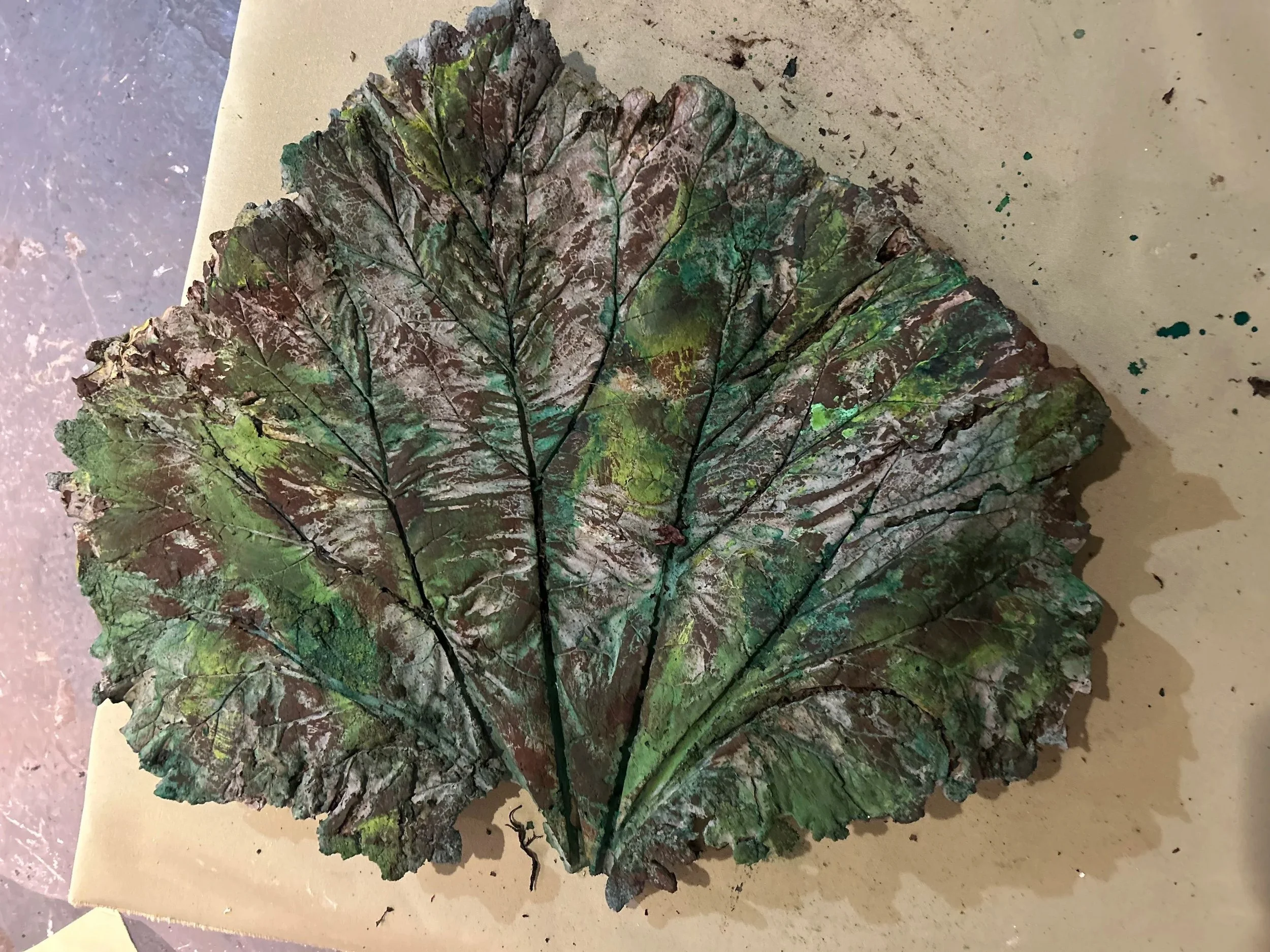 Rhubarb Leaf in Stone 