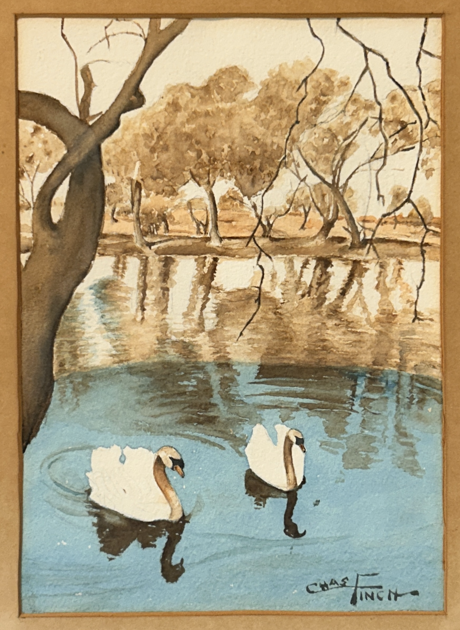 Swans in pond Legacy Art bliceedwards.png