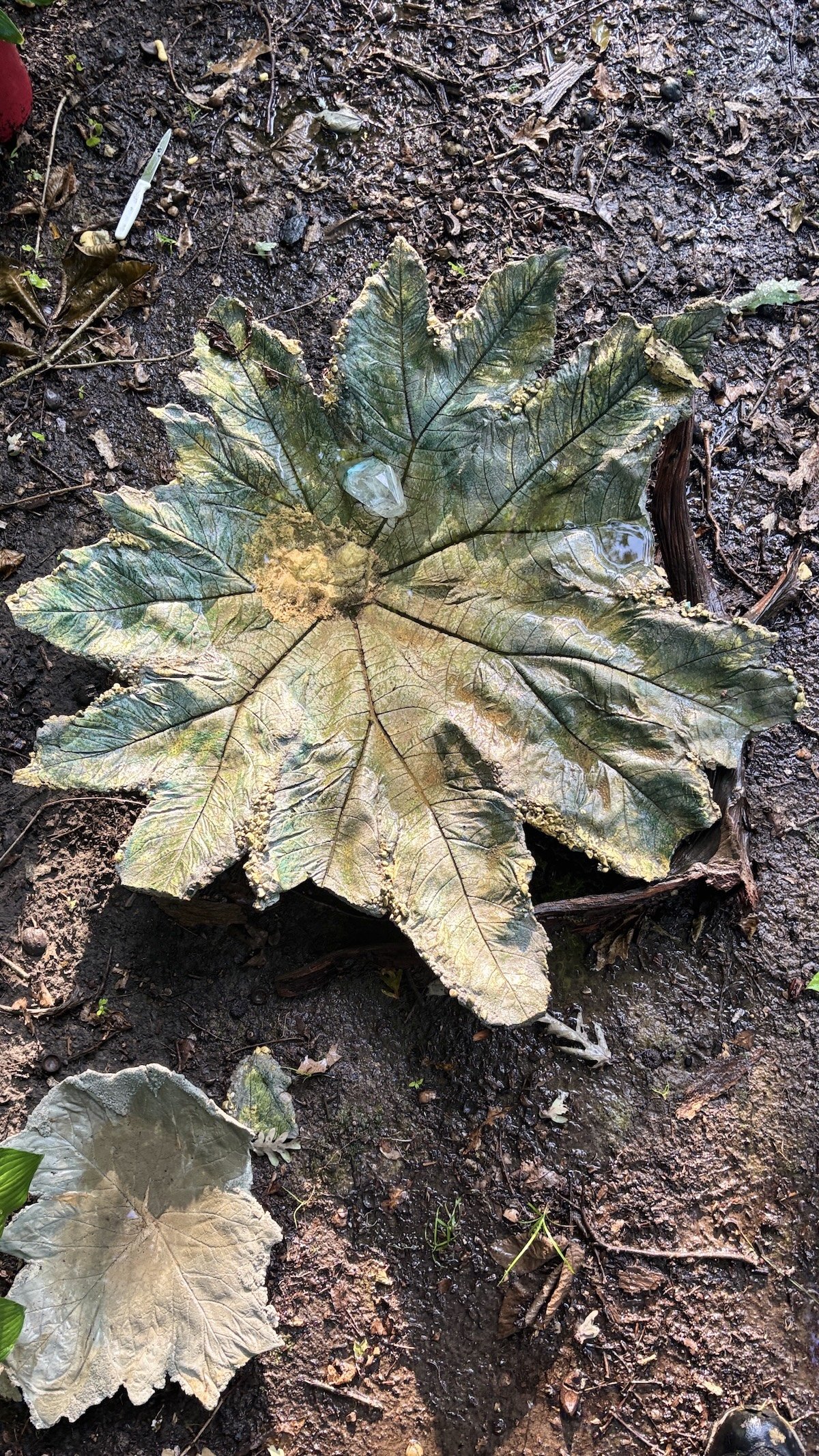 Leaf Vessel bliceedwards.jpeg