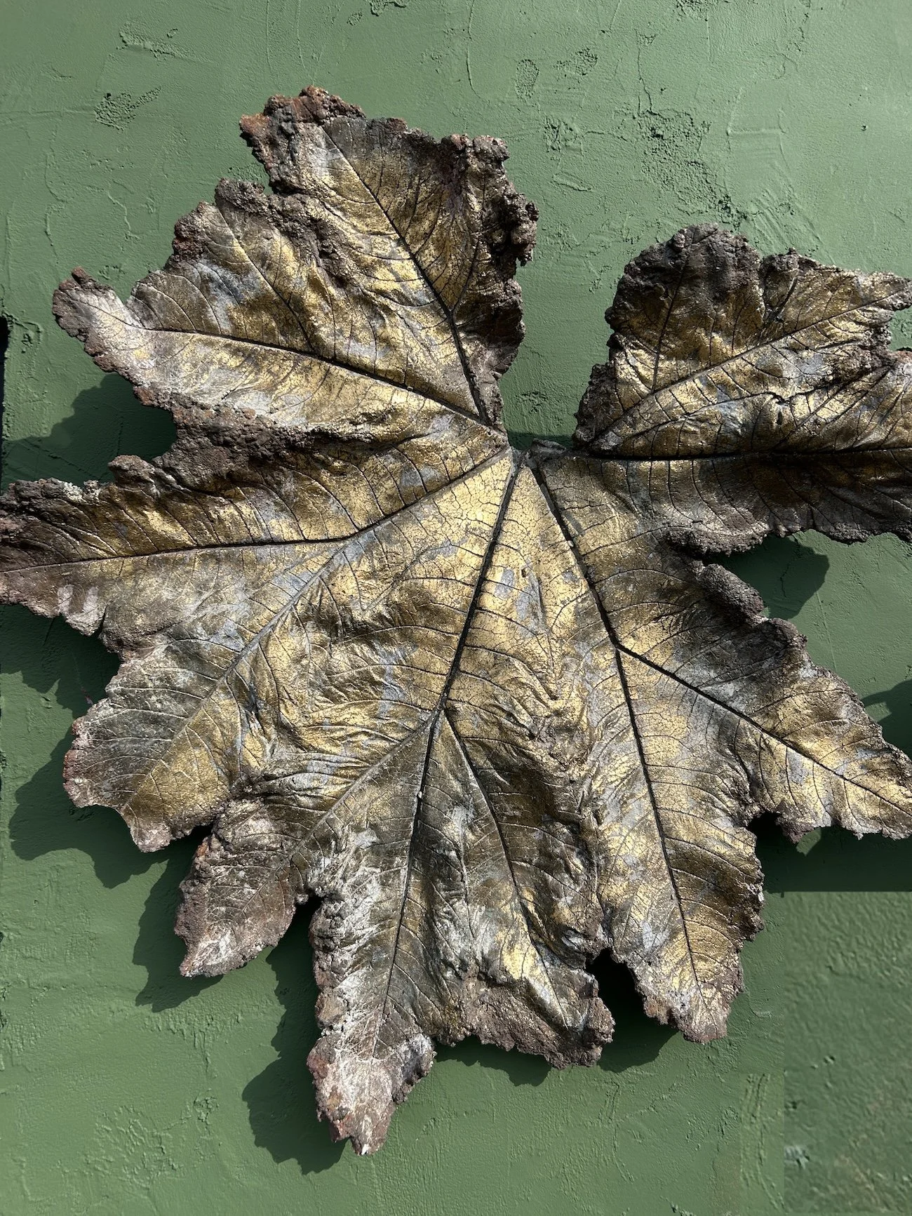 A large dried leaf with prominent veins, discolored with brown, black, and some white patches, placed on a green textured surface.