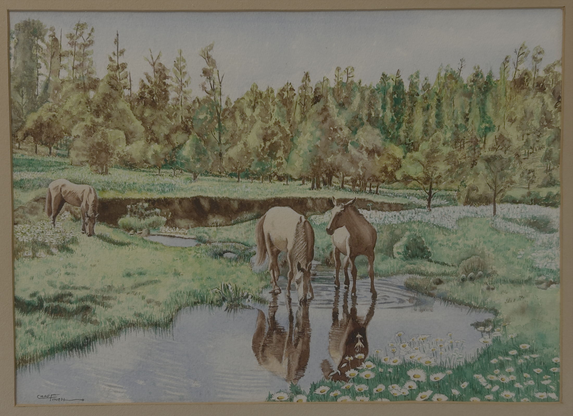Horses Watercolor bliceedwards.png