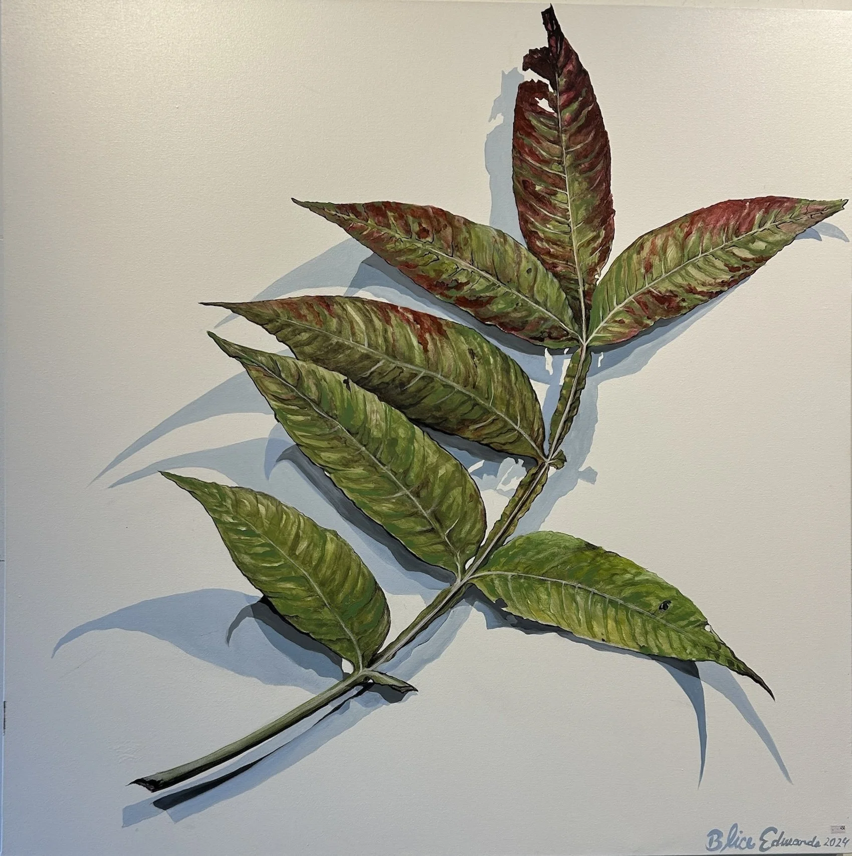 Hickory Leaf Painting bliceedwards.jpeg