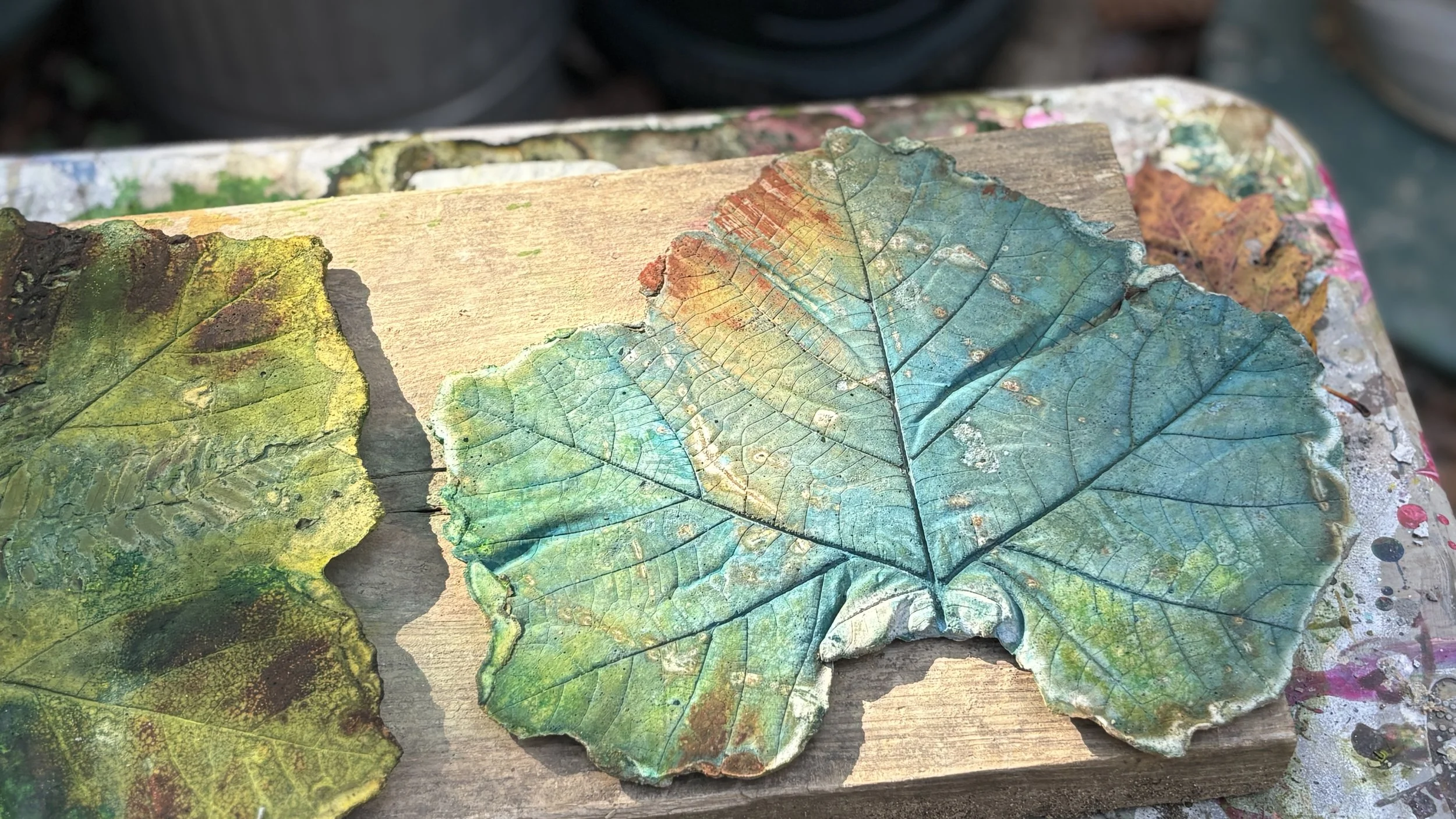 Sycamore Fossil Stone 