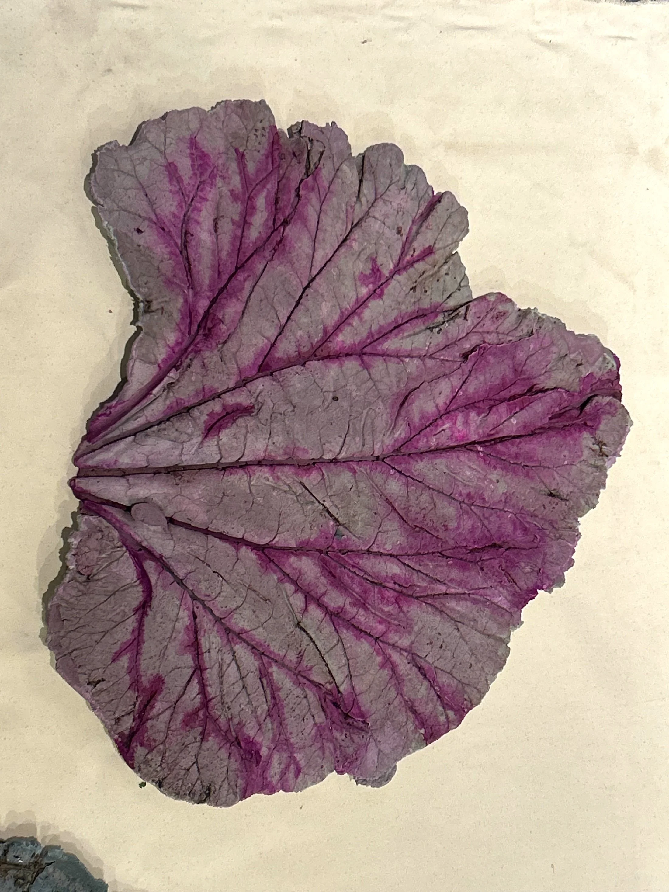 A dried purple ceramic leaf with prominent veins on a light background.