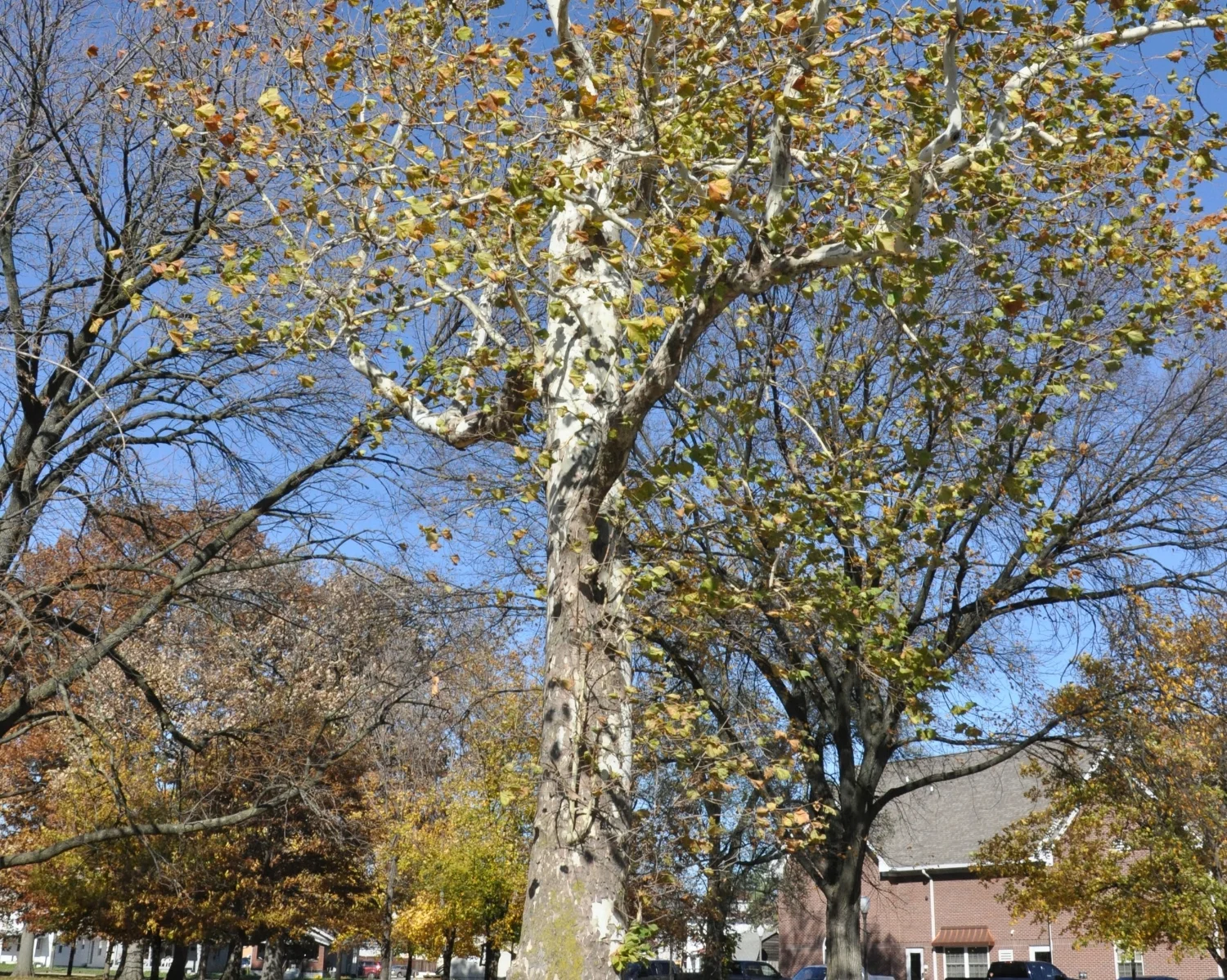 DSC_0395.JPG