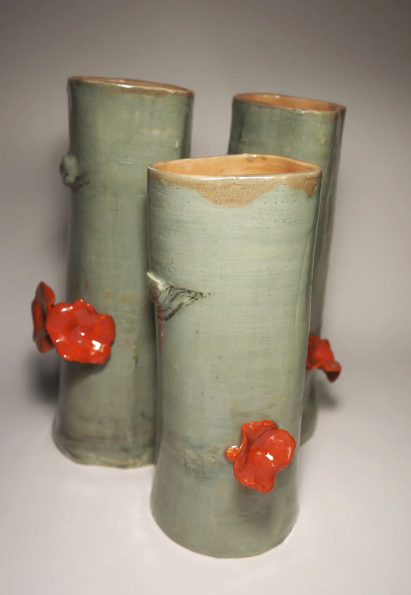 Chantrelle and beech tree.jpg