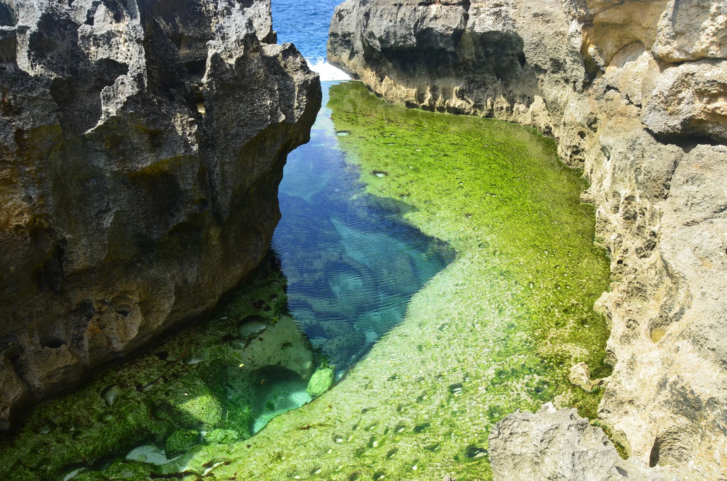 Bali: Part Six: Nusa Penida: Taking a Walk On the Wild Side