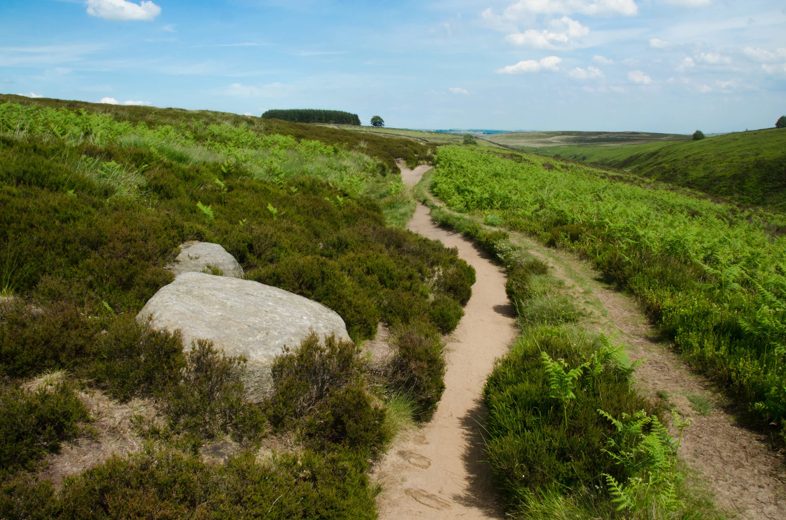 A Yorkshire Road Trip: Adventures in Bronte Country