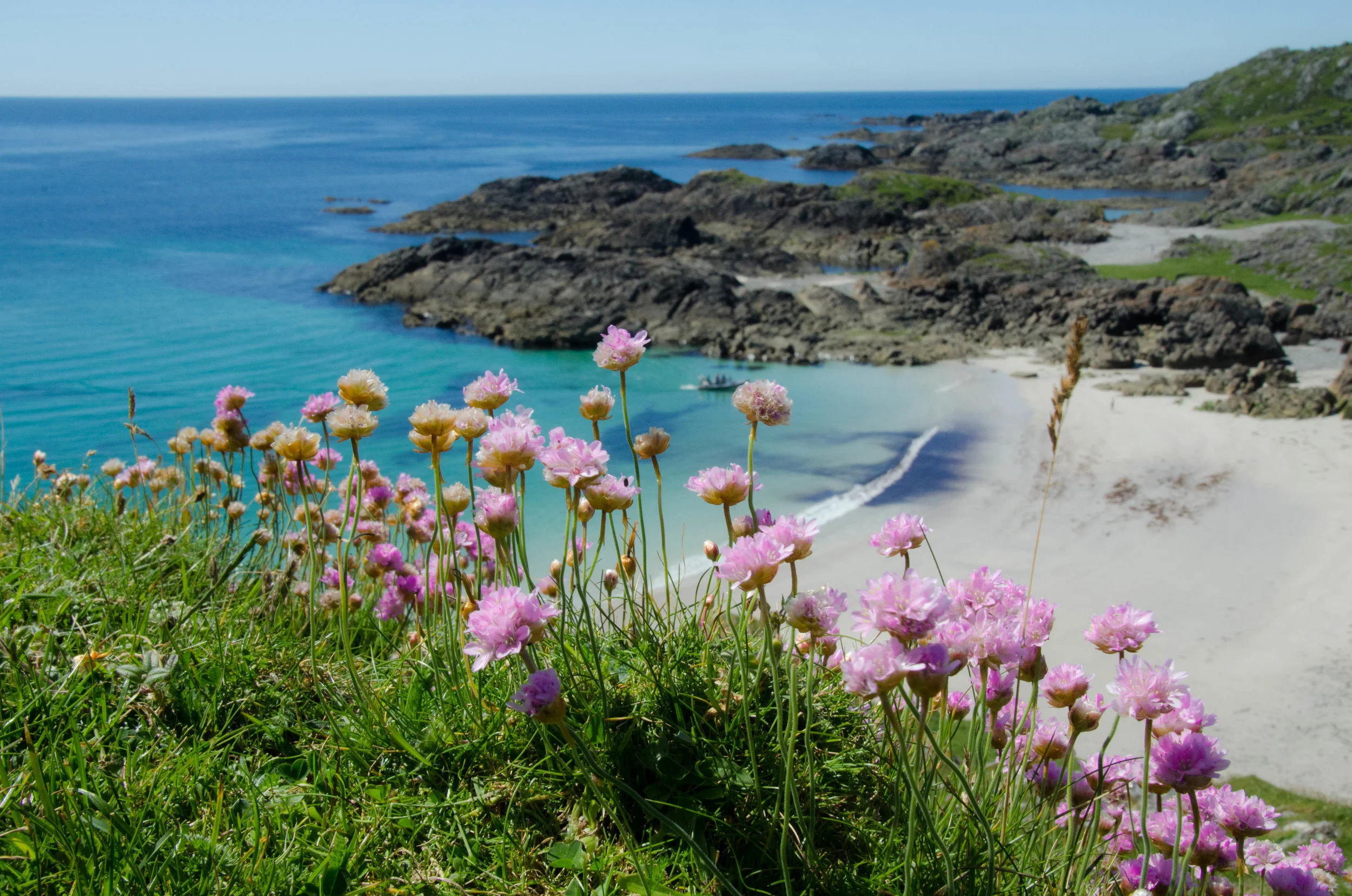 Beach overdrive: a day in the life on Tiree!