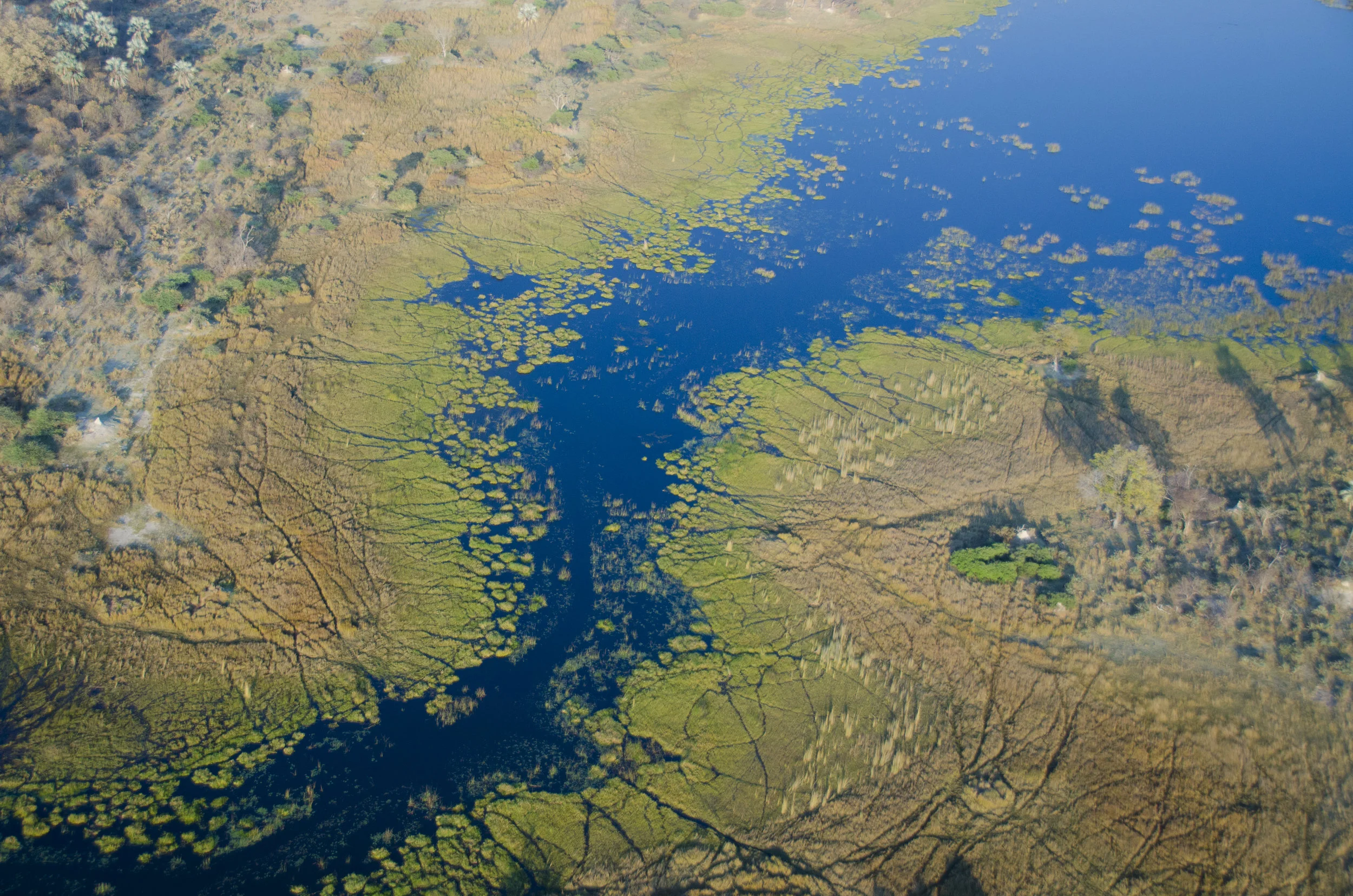 Africa's last Eden? The Okavango Delta: The 'river which never finds the sea'