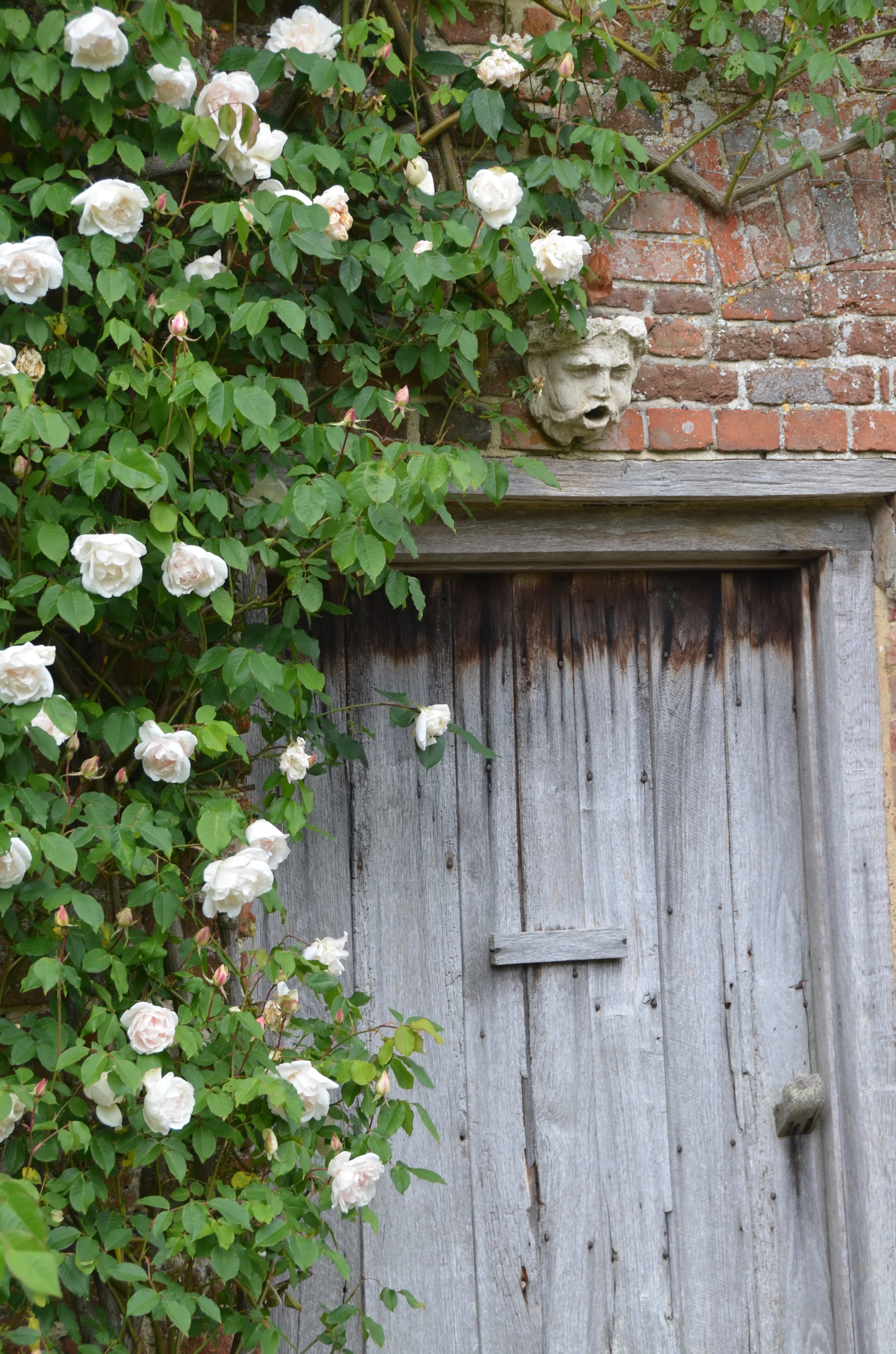The Best of Kent & Sussex: Chapter 1: Sissinghurst