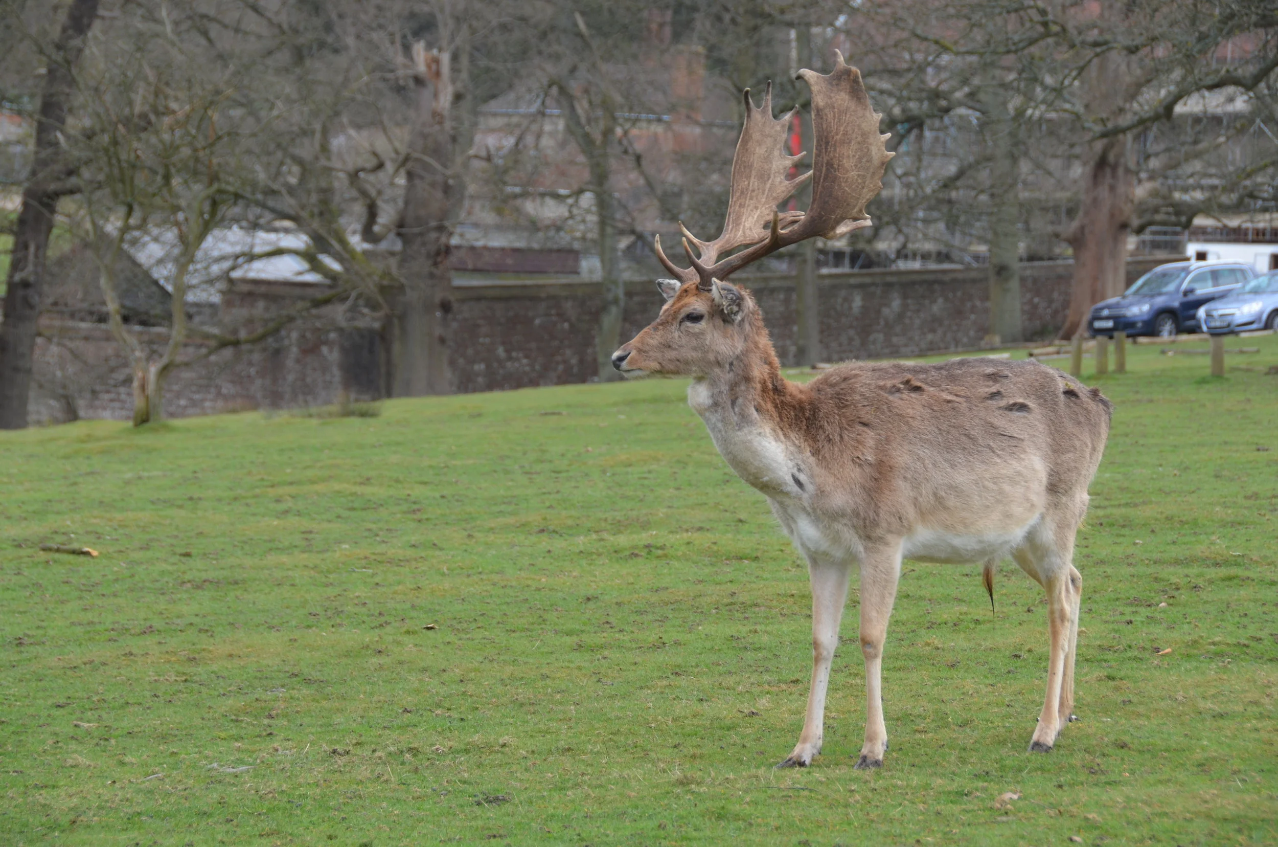 The Best of Kent & Sussex: Chapter 4: Knole Park