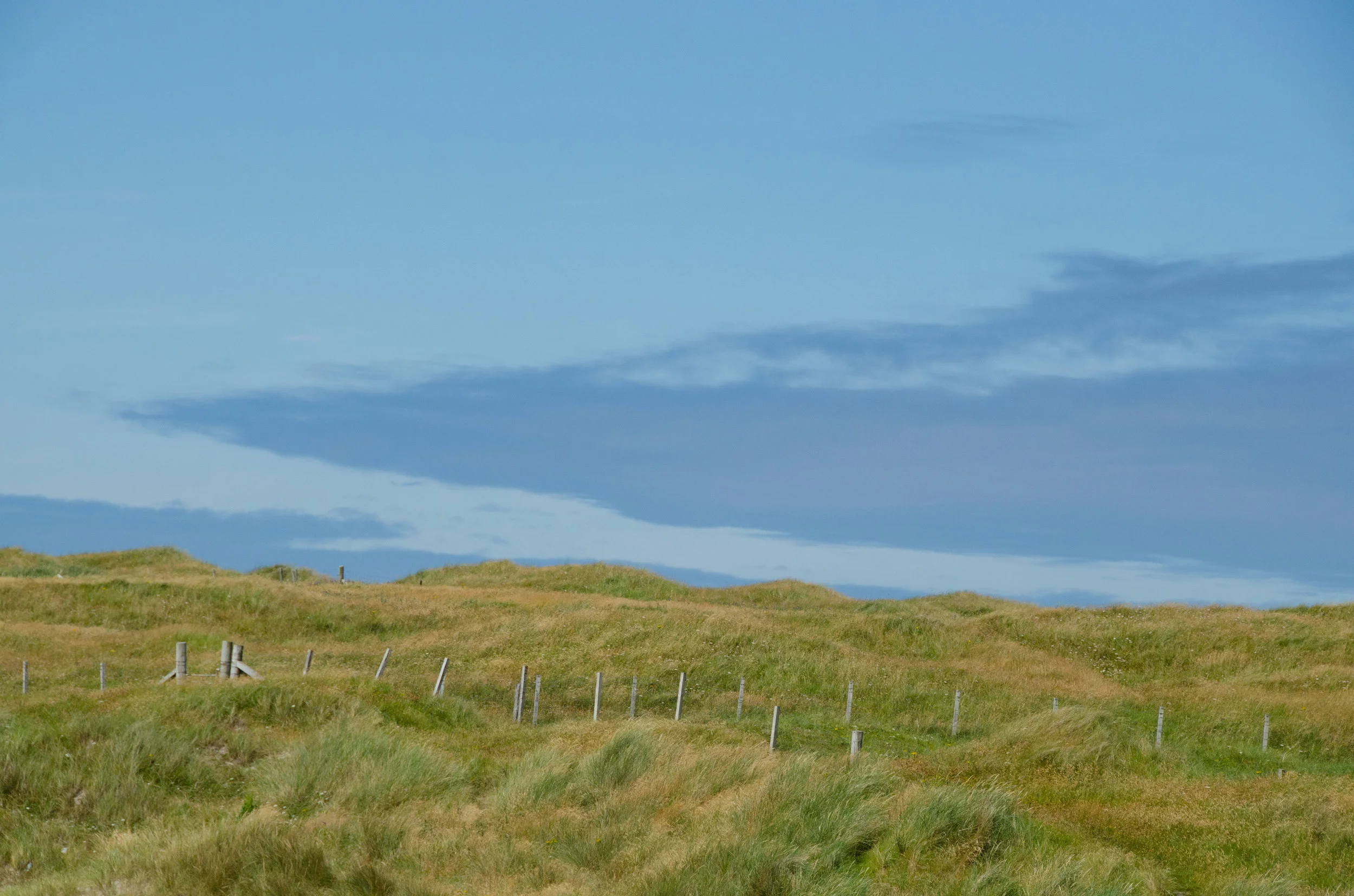 Blue skies above the sand dunes