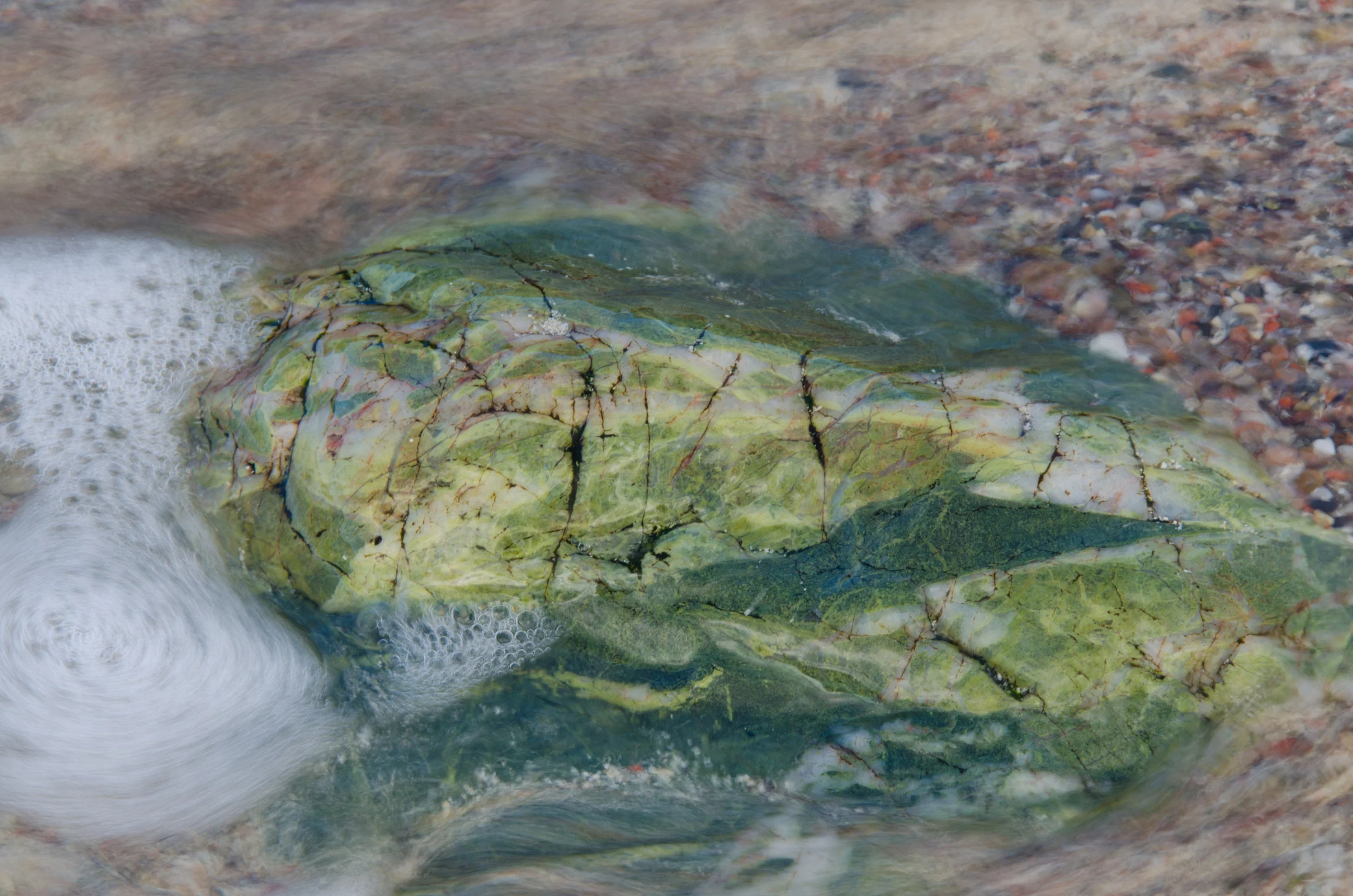 the exquisite greens